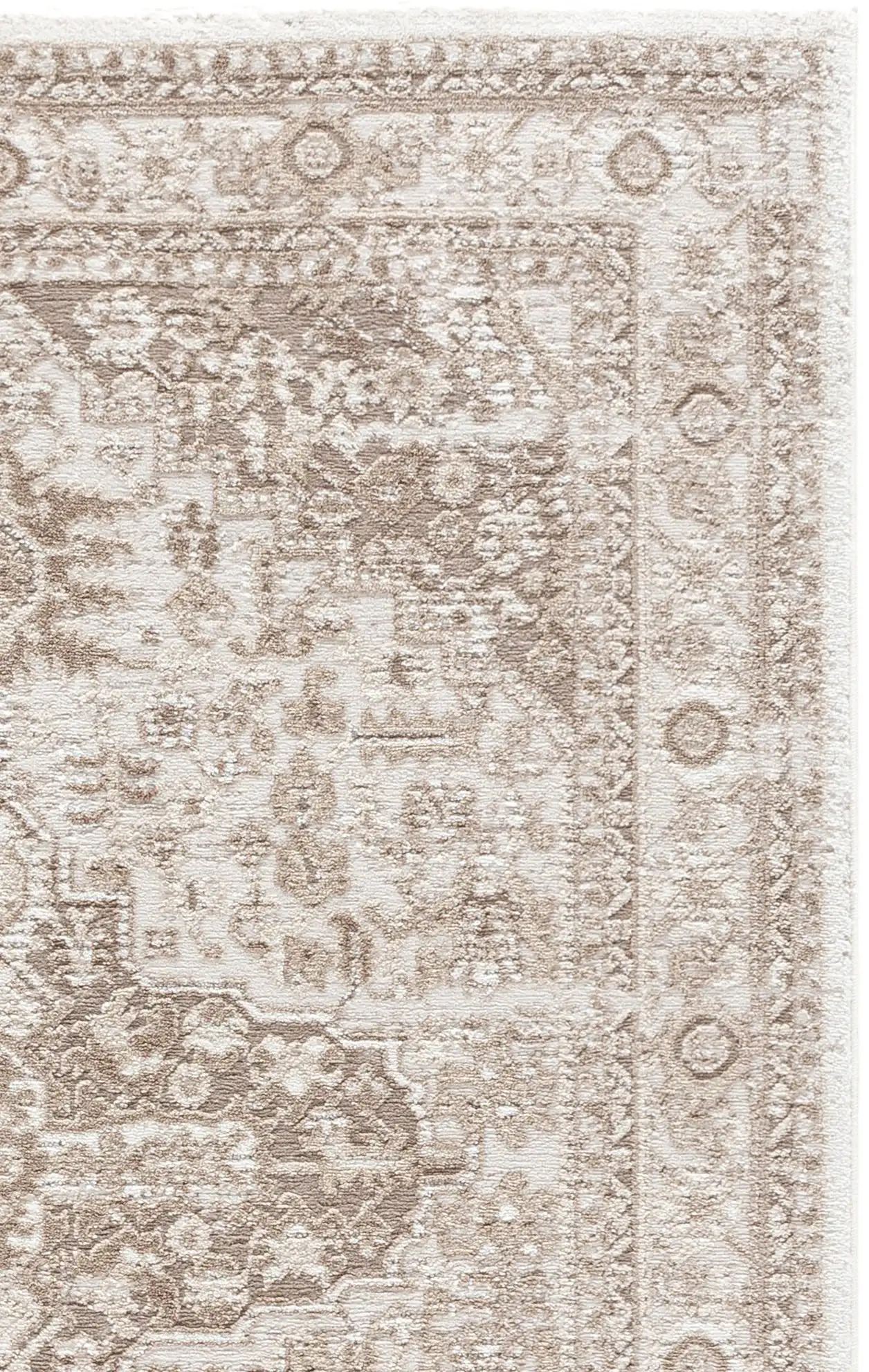 Ivory / Beige