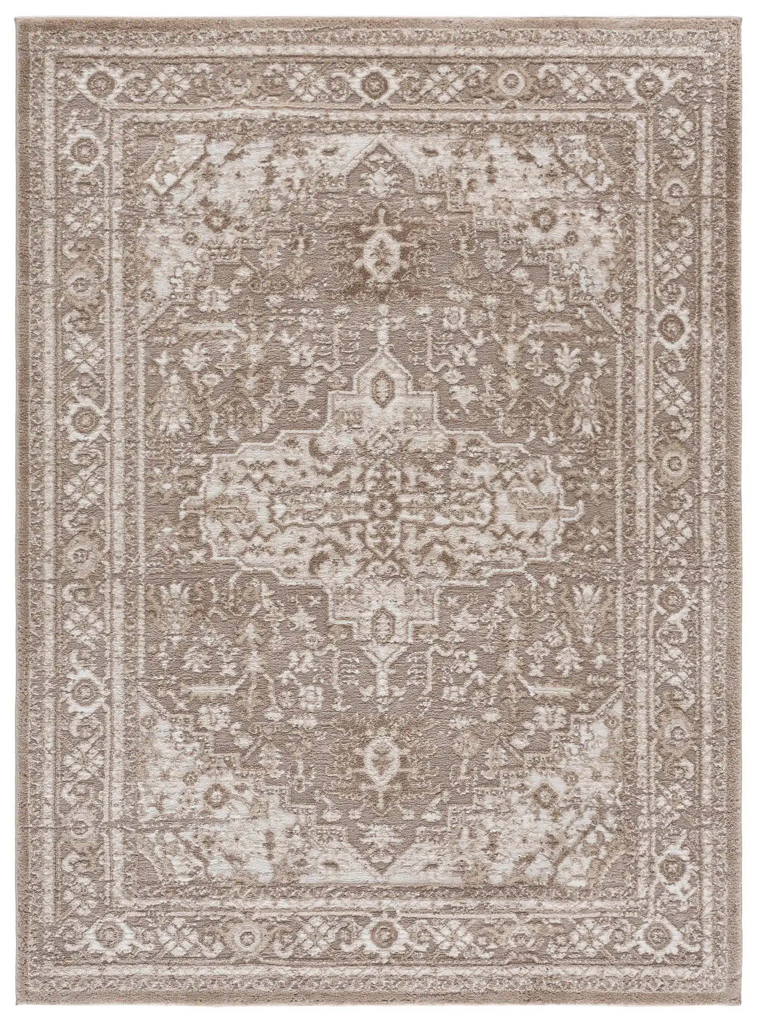 Lunara Distressed Medallion Rug in Beige / Gray