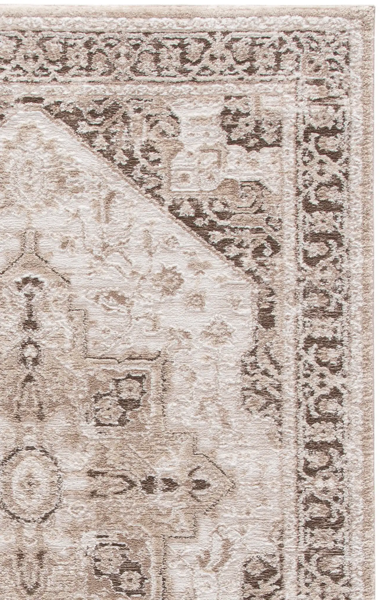 Beige / Ivory