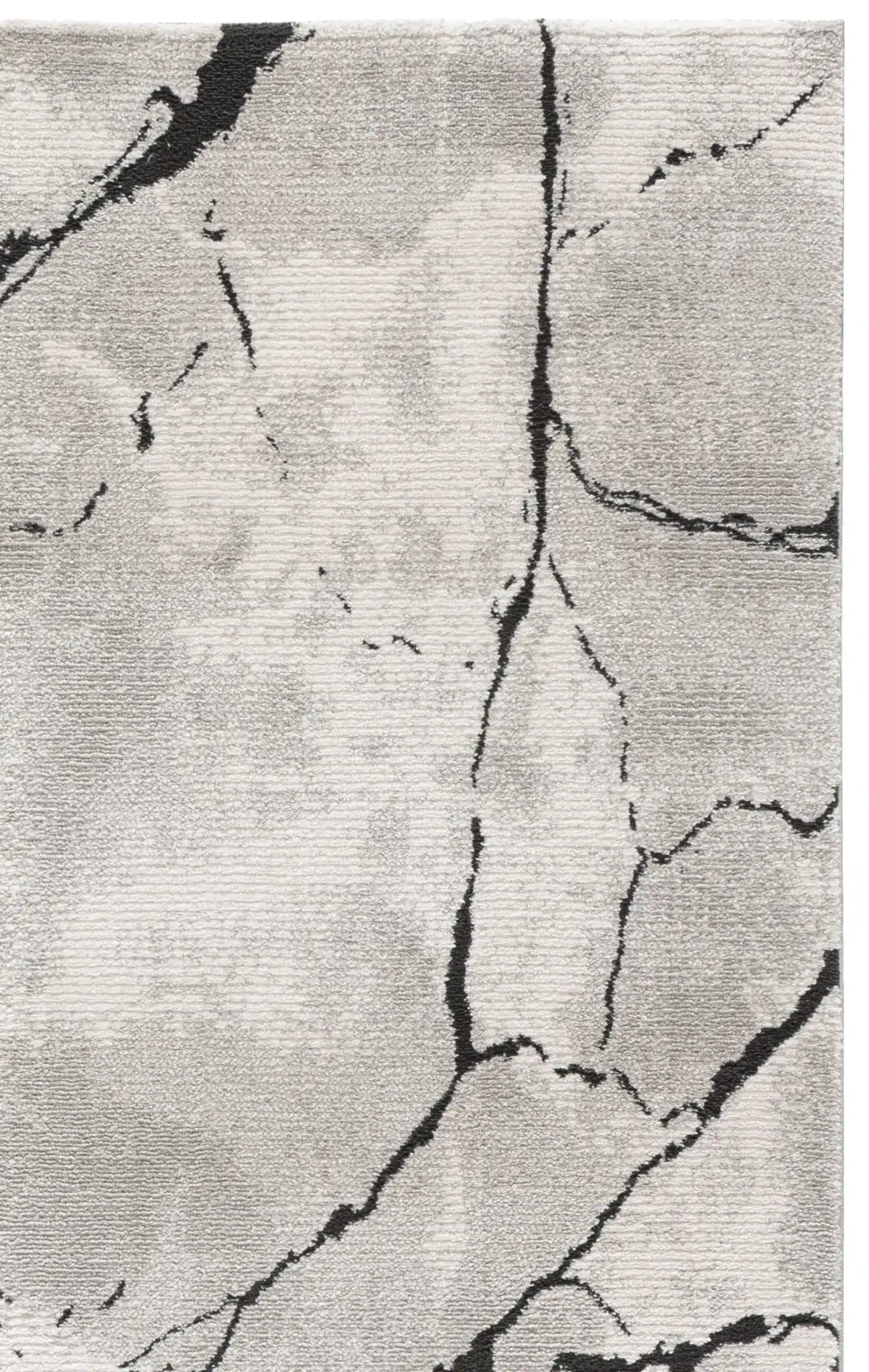 Ivory / Charcoal
