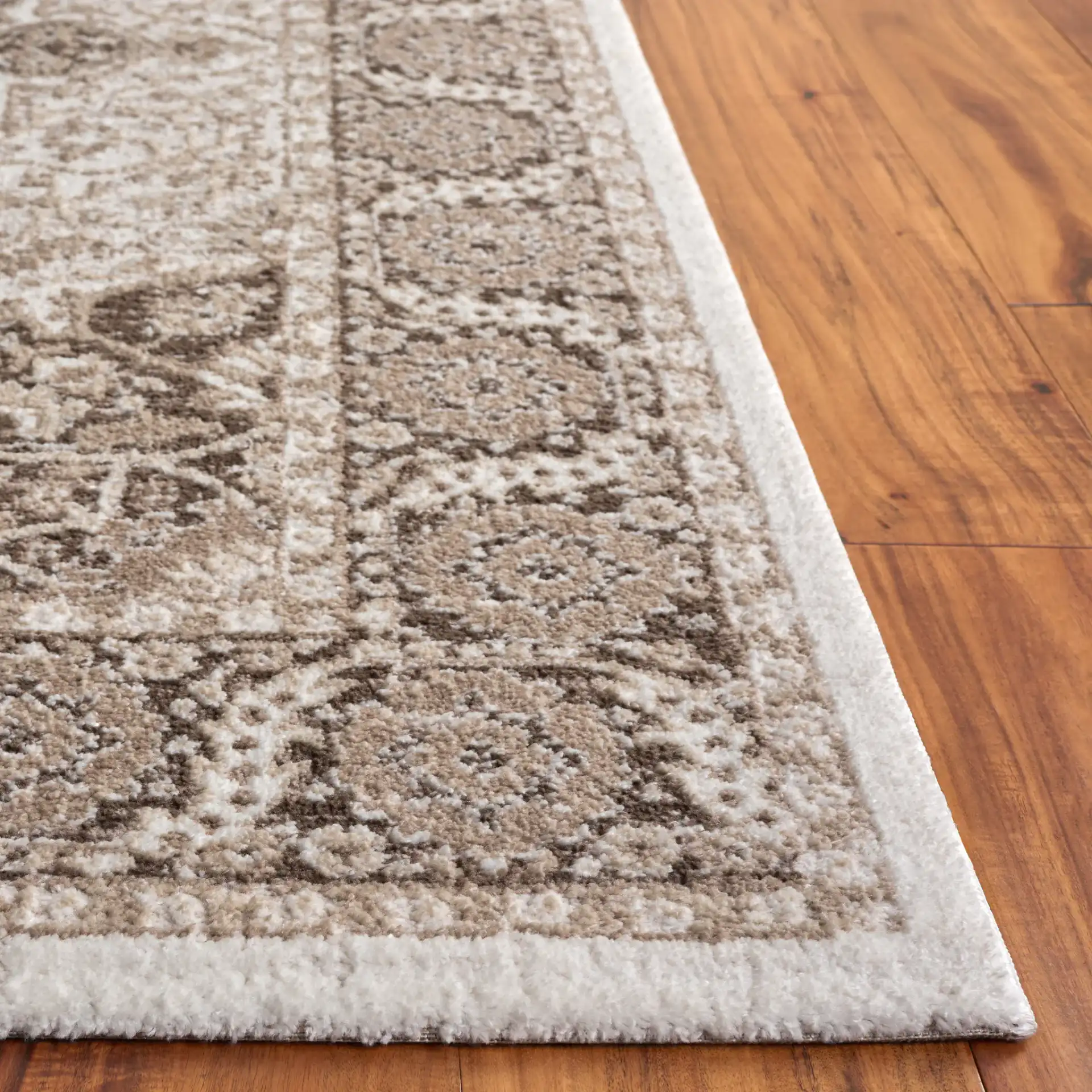 Lunara Traditional Medallion Rug in Beige / Brown in a styled room