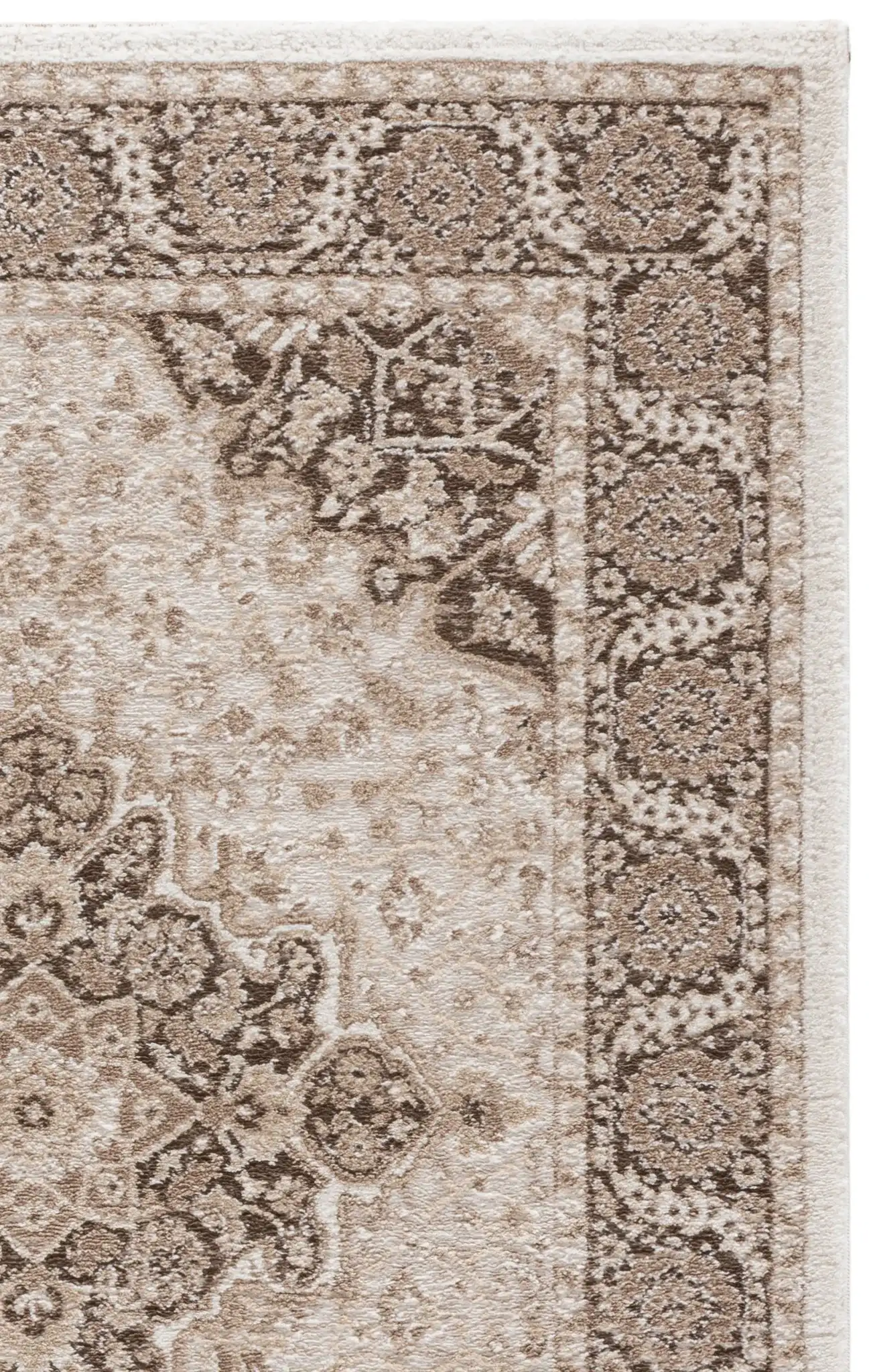 Beige / Brown