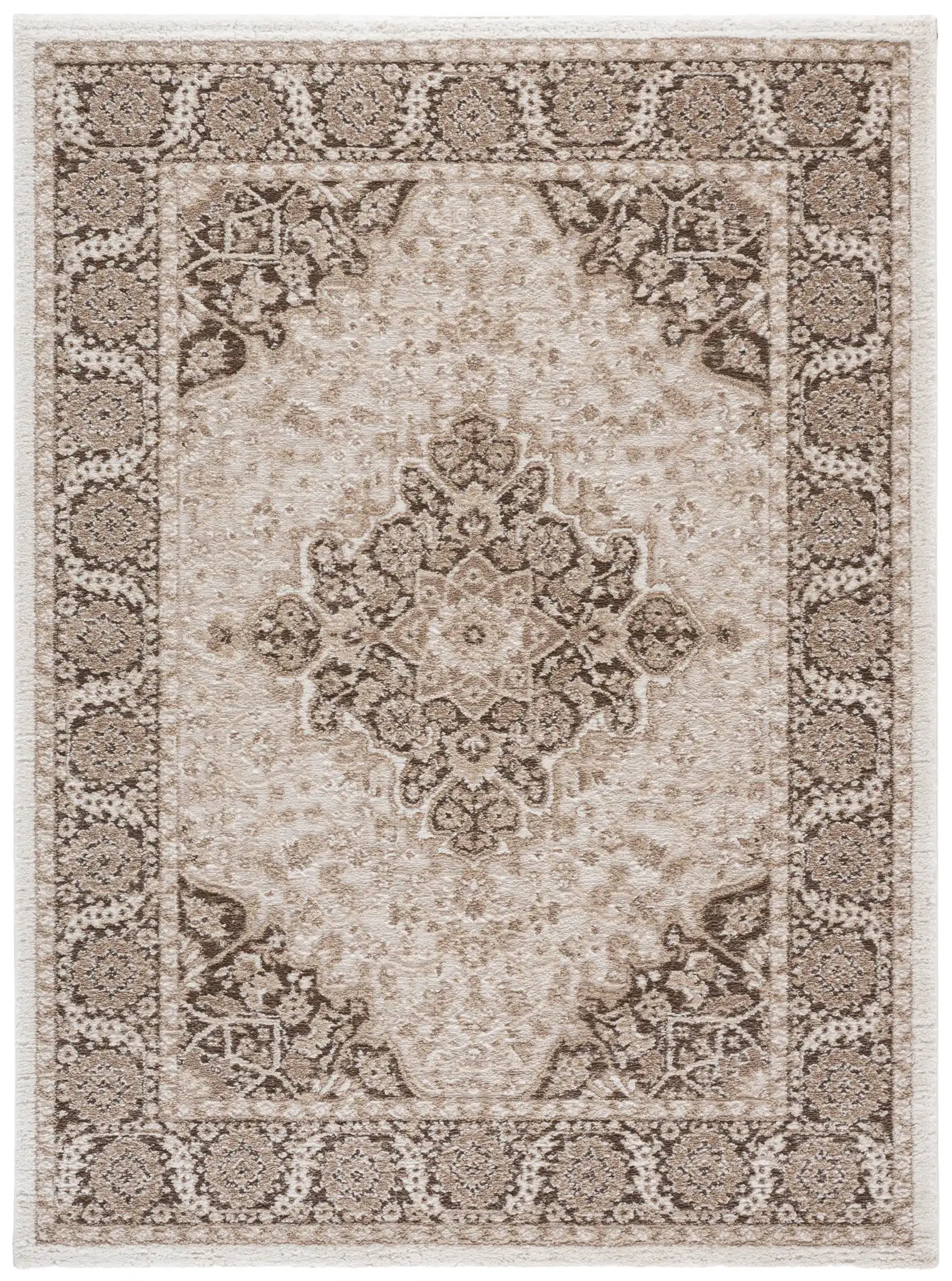 Lunara Traditional Medallion Rug in Beige / Brown