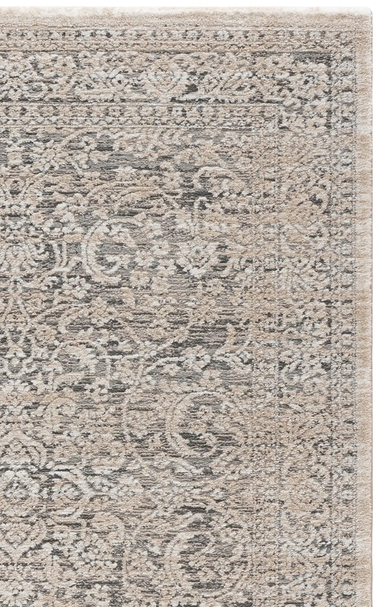 Gray / Beige