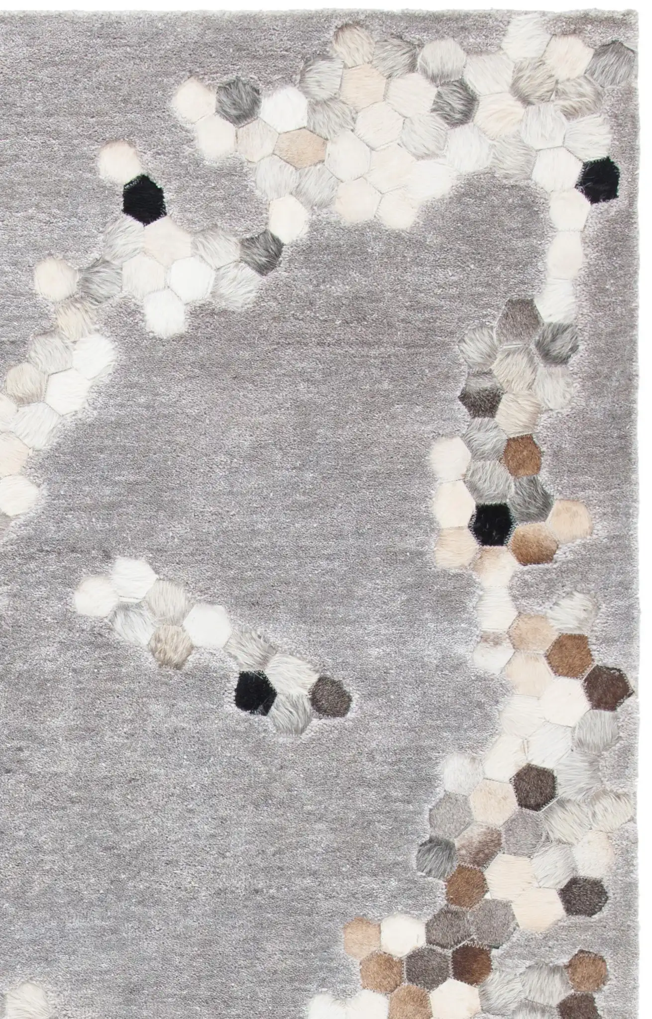 Gray / Ivory