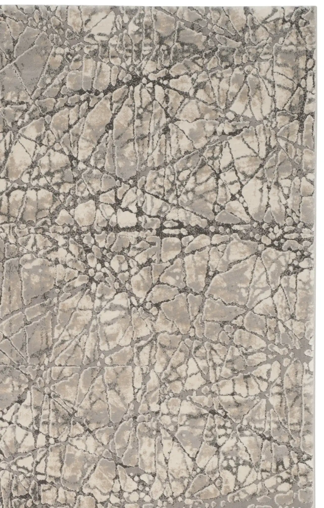 Beige / Gray