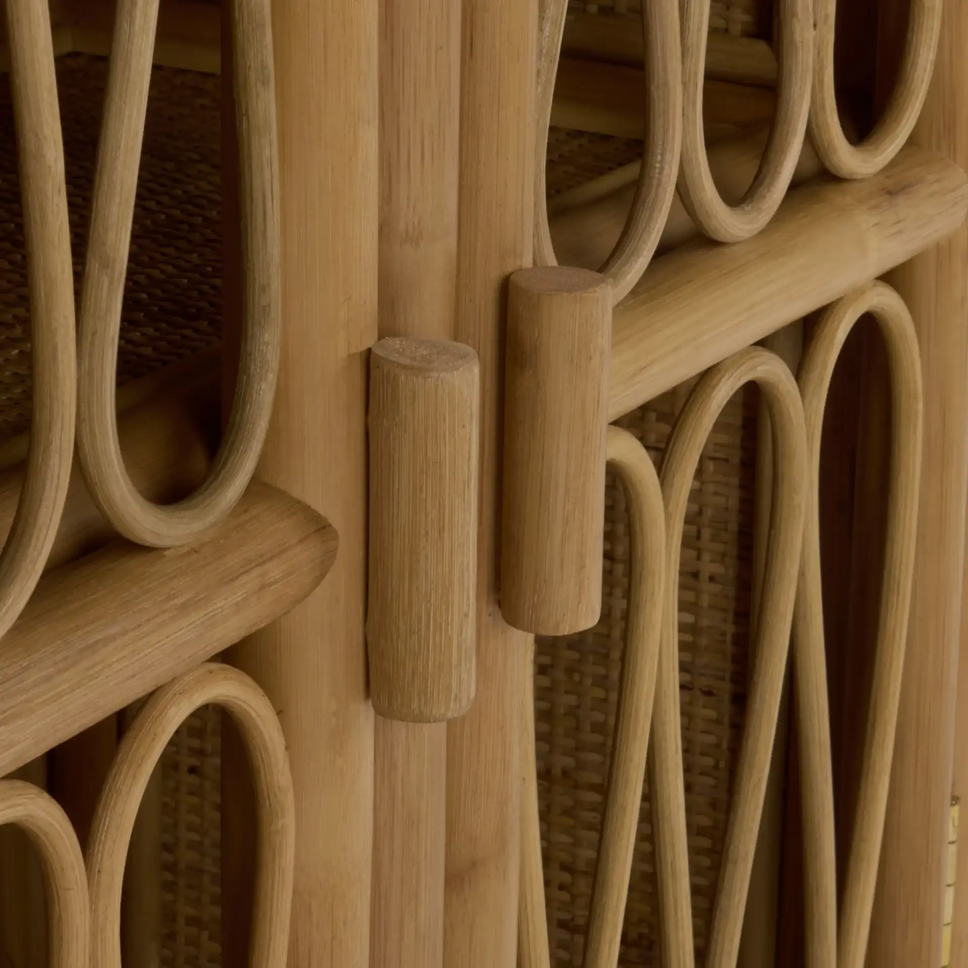 Evelina Rattan 2 Door Sideboard in Natural in a styled room