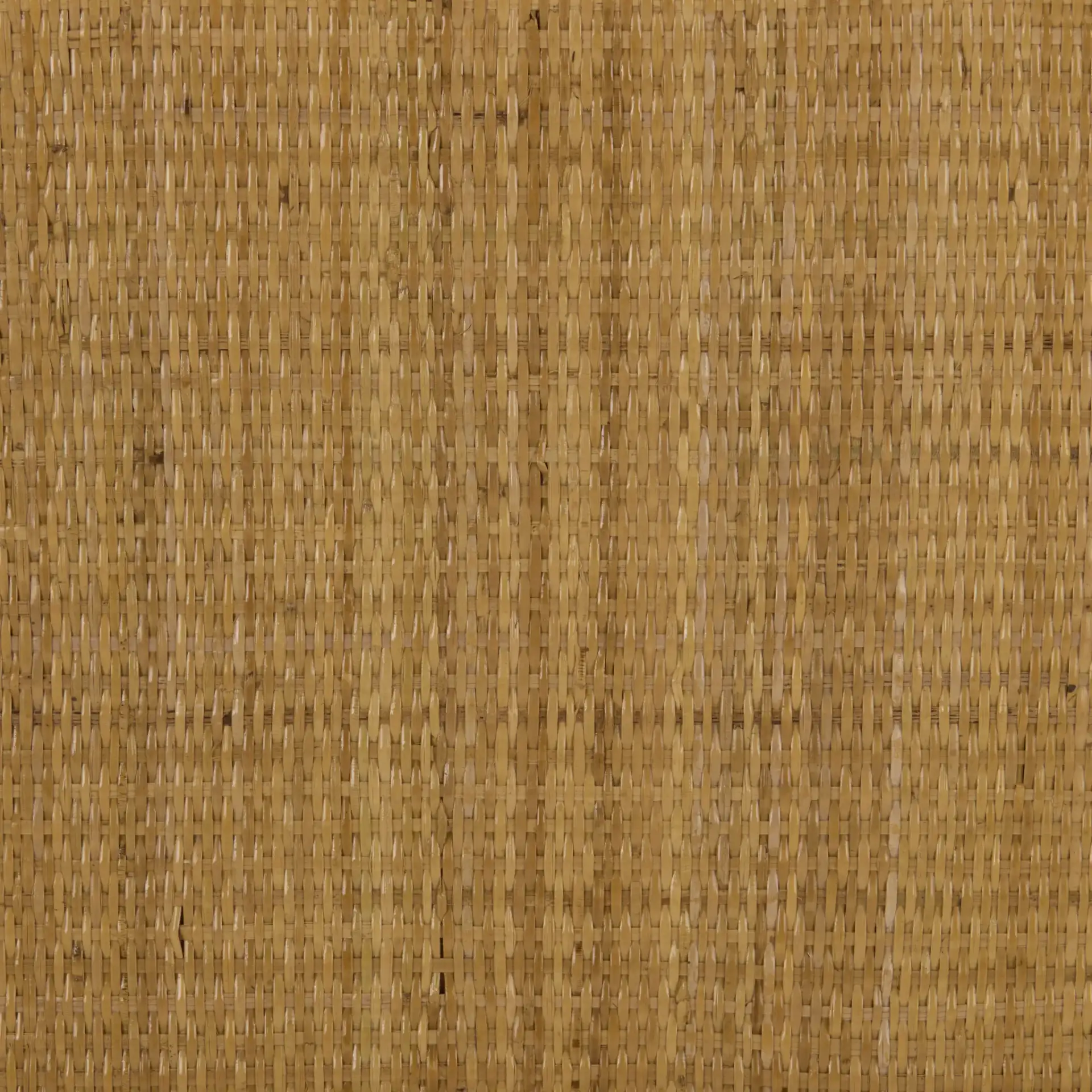 Evelina Rattan 2 Door Sideboard in Natural, detail view
