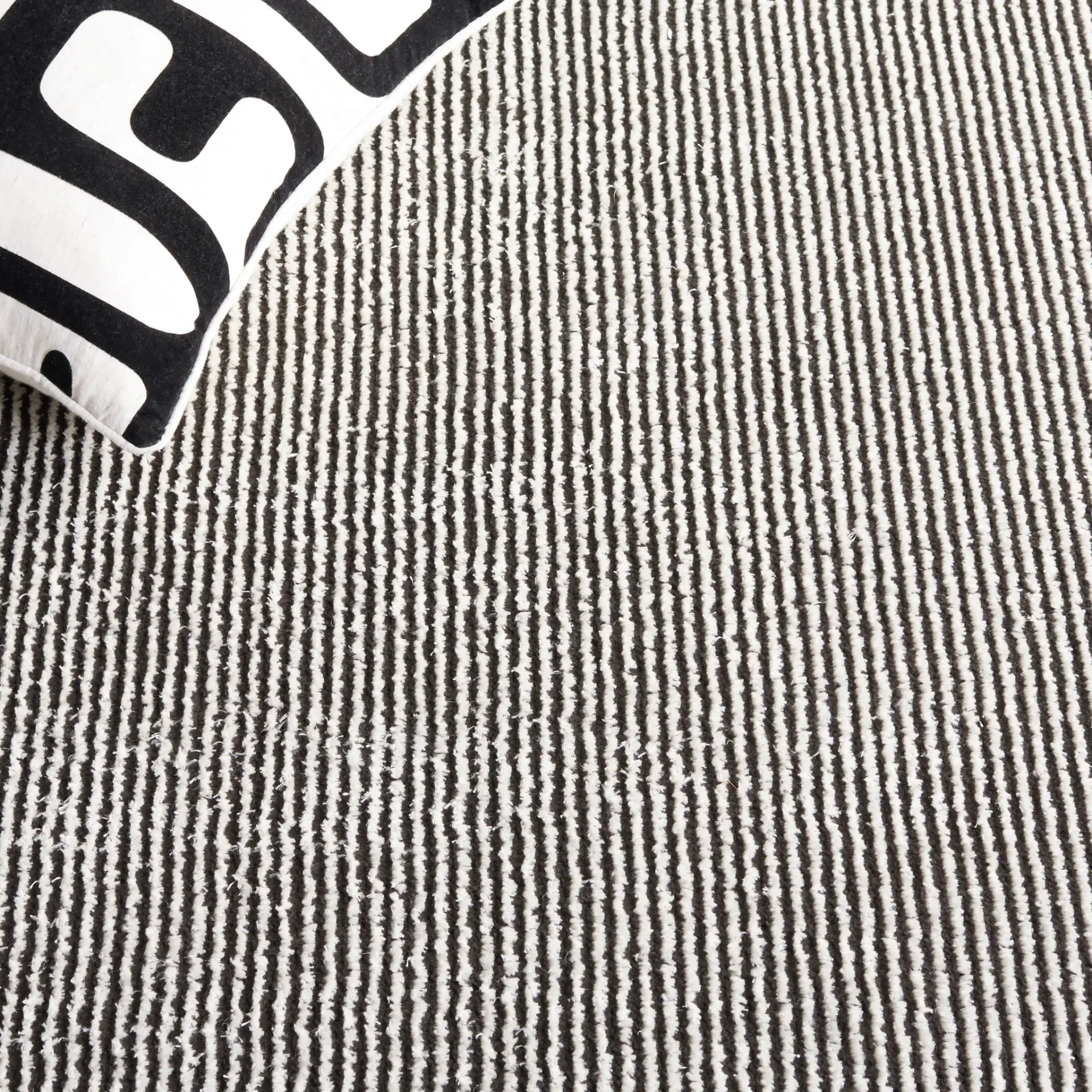 Melody Striped Border Rug in Ivory / Black in a styled room