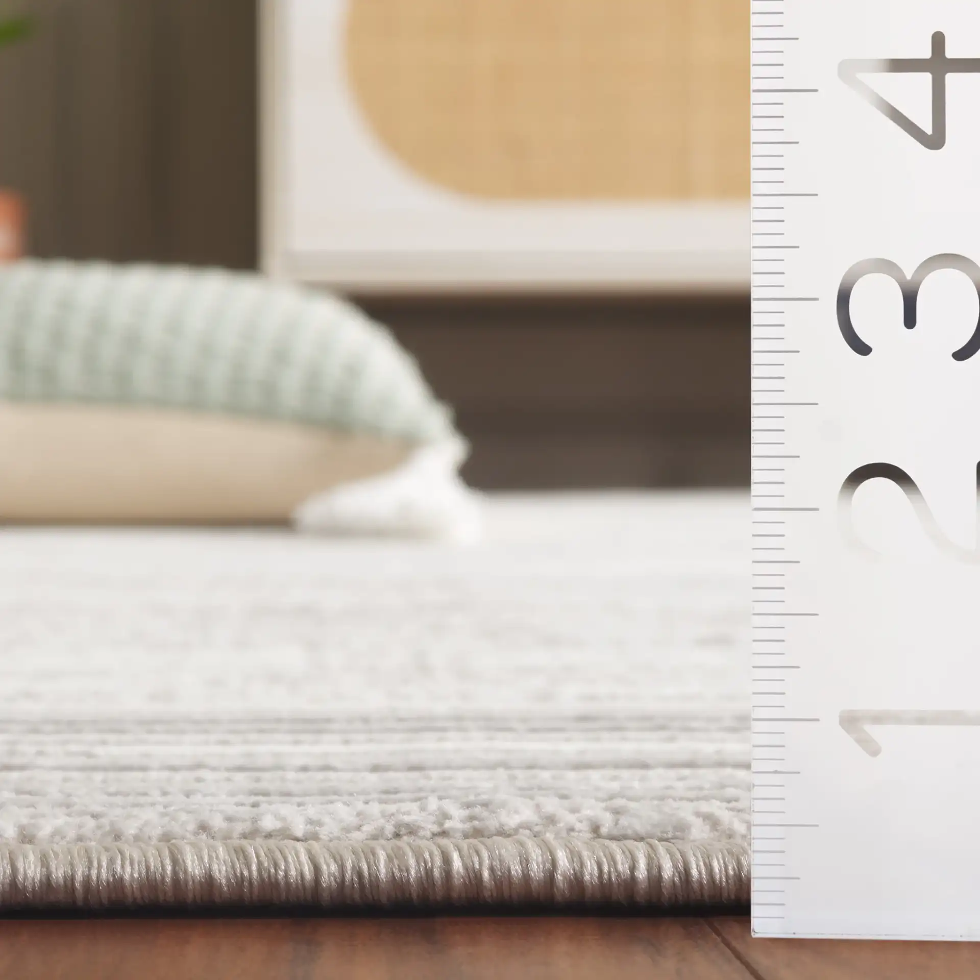 Memphis Bordered Textured Rug in Gray / Ivory in a styled room