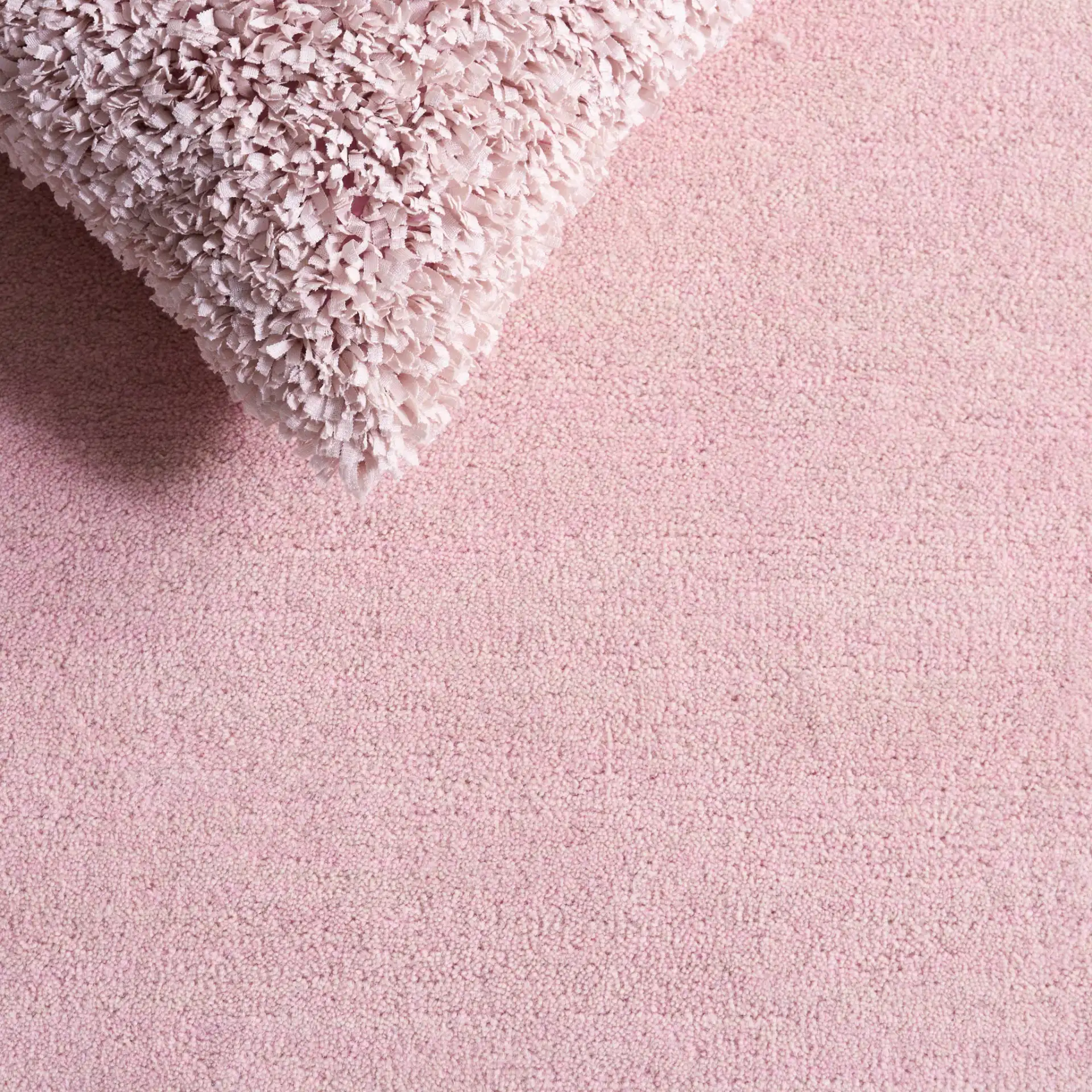 Metro Modern Scalloped Border Hand-Tufted Wool Rug in Pink / Ivory in a styled room