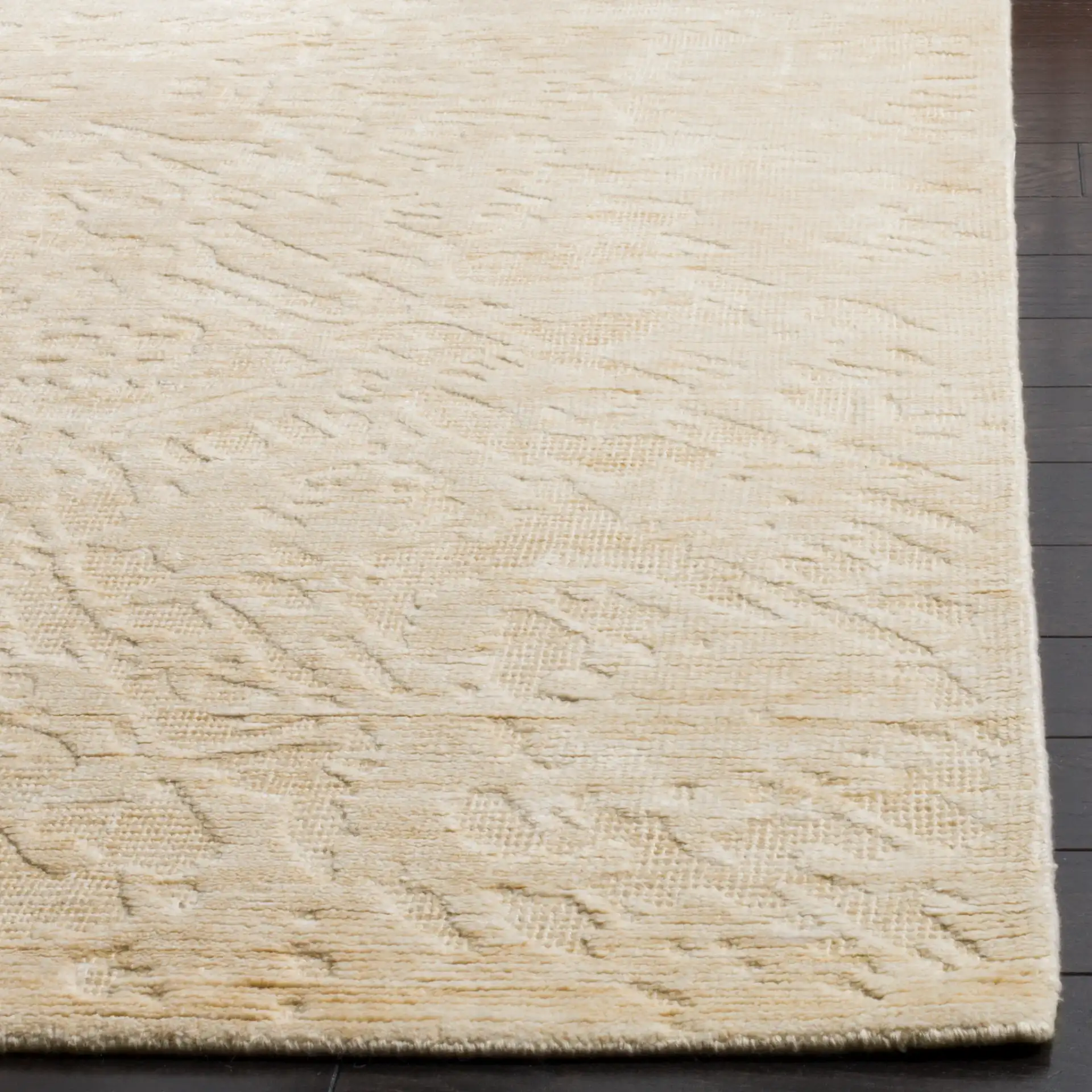 Mirage Radial Burst Hand-Loomed Rug in Beige in a styled room