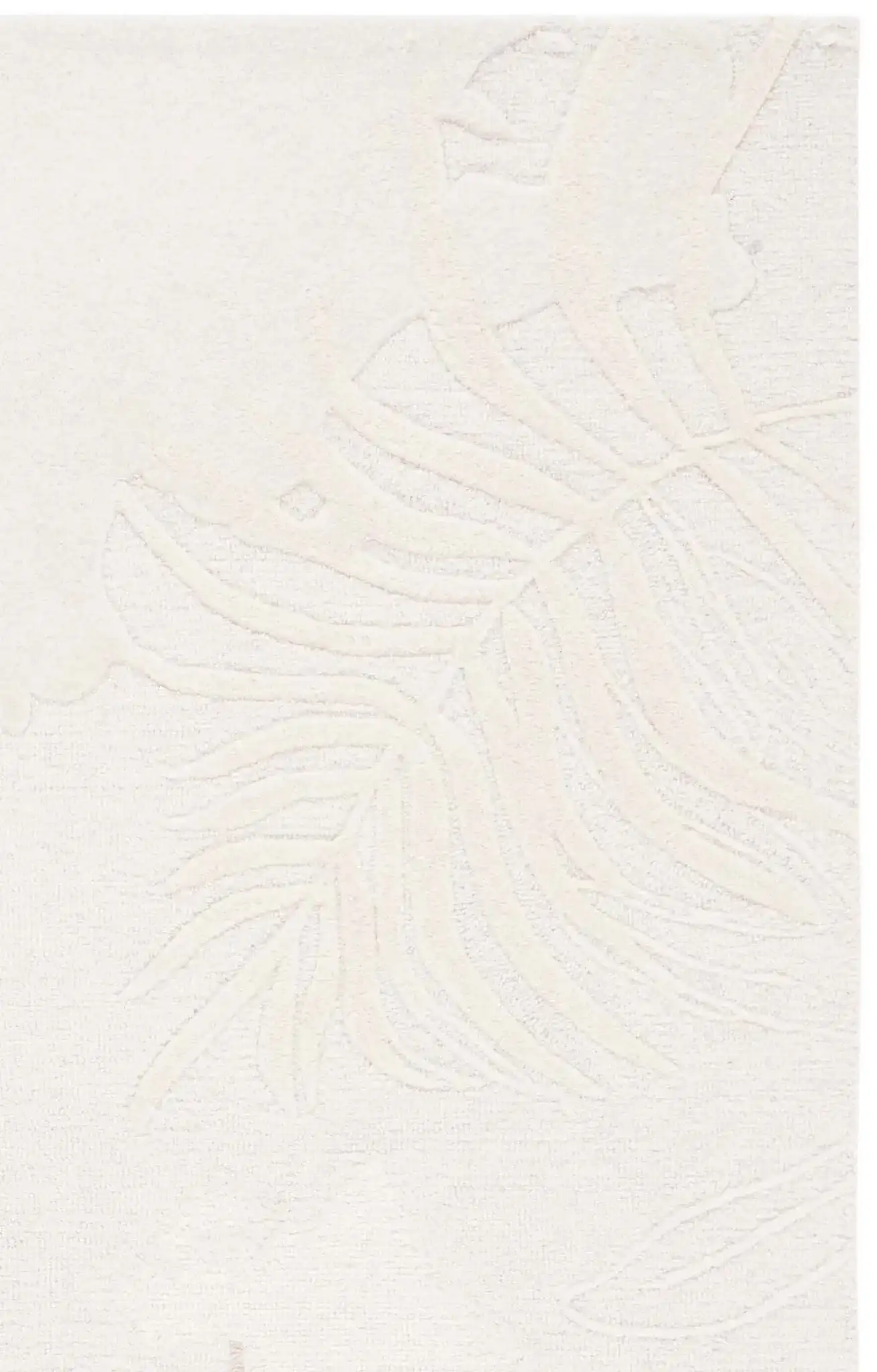 Ivory / Beige