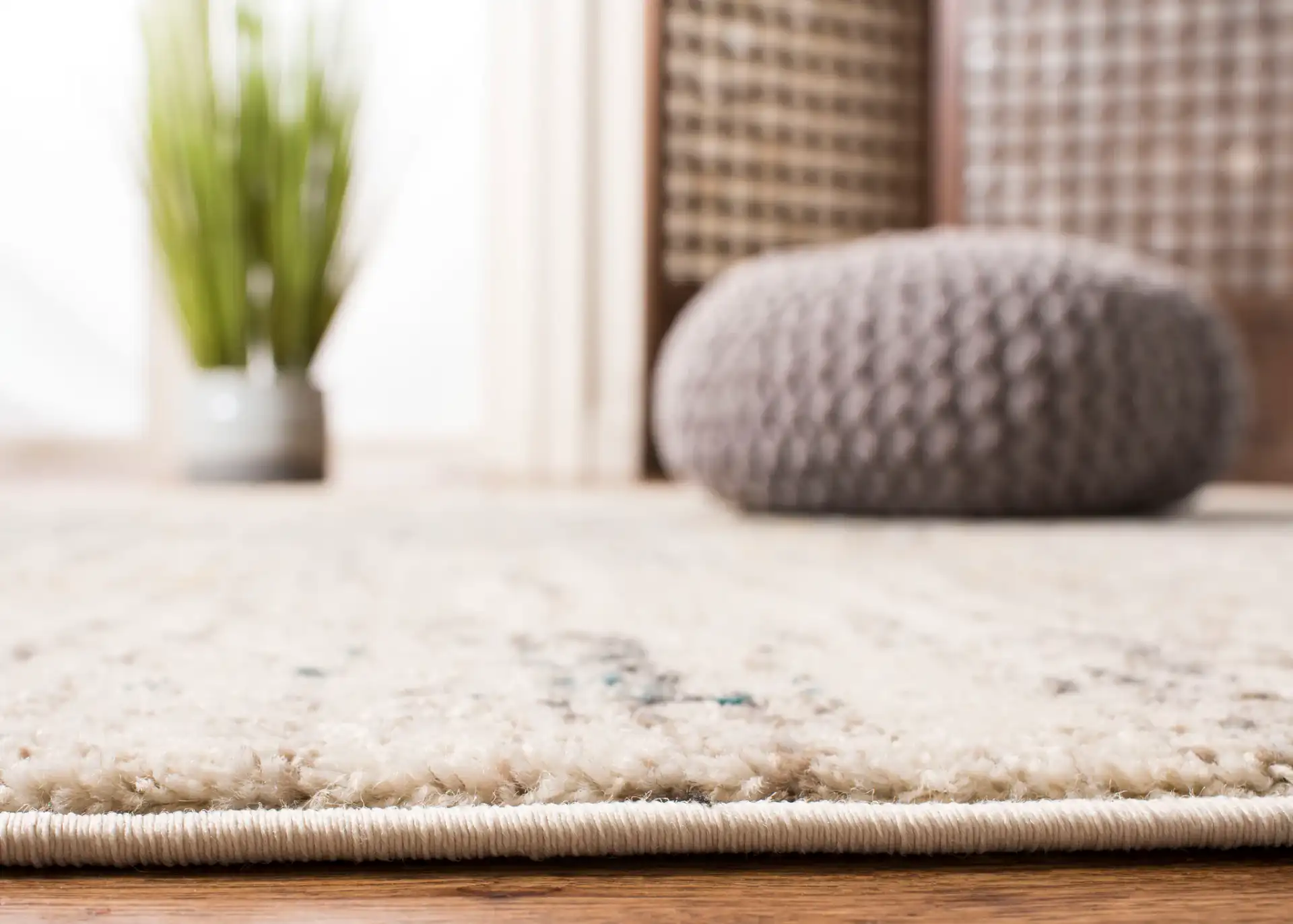 Monaco Medallion Rug in Gray / Multicolor in a styled room