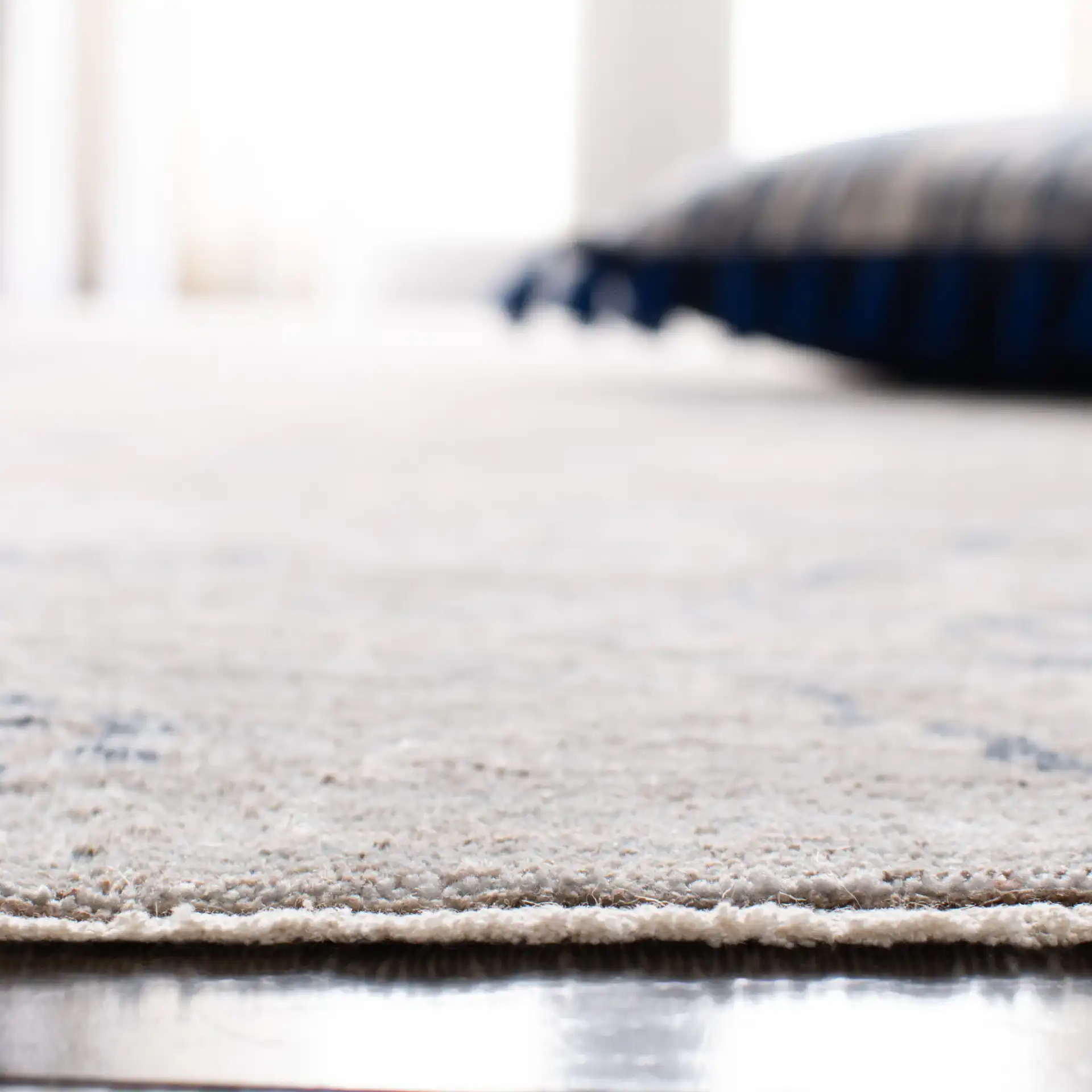 Moondust Distressed Allover Rug in Gray / Ivory in a styled room