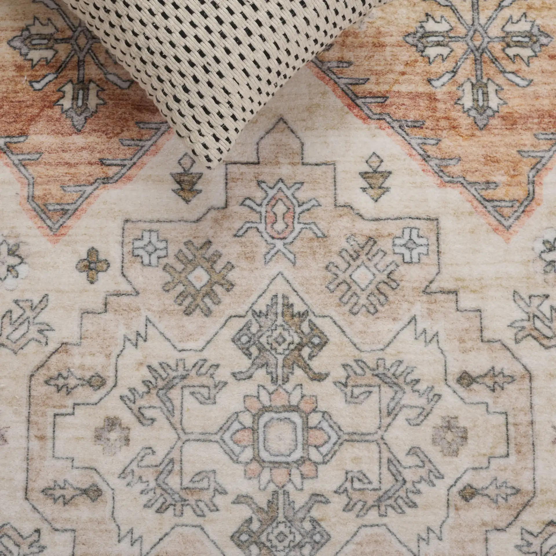 Montana Tribal Medallion Rug in Beige / Light Brown in a styled room