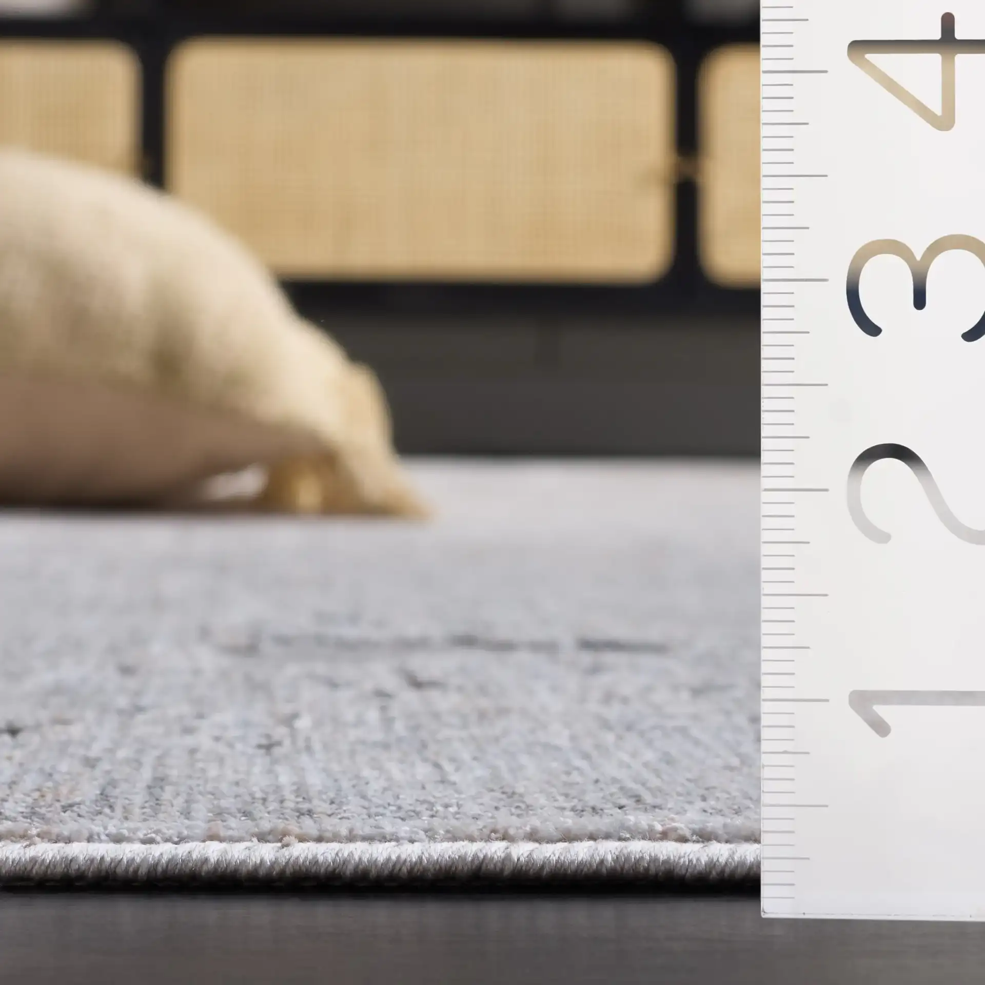 Marvel Marble Rug in Gray / Ivory in a styled room