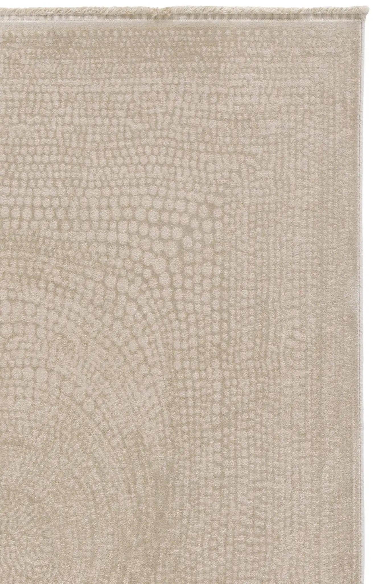 Ivory / Beige