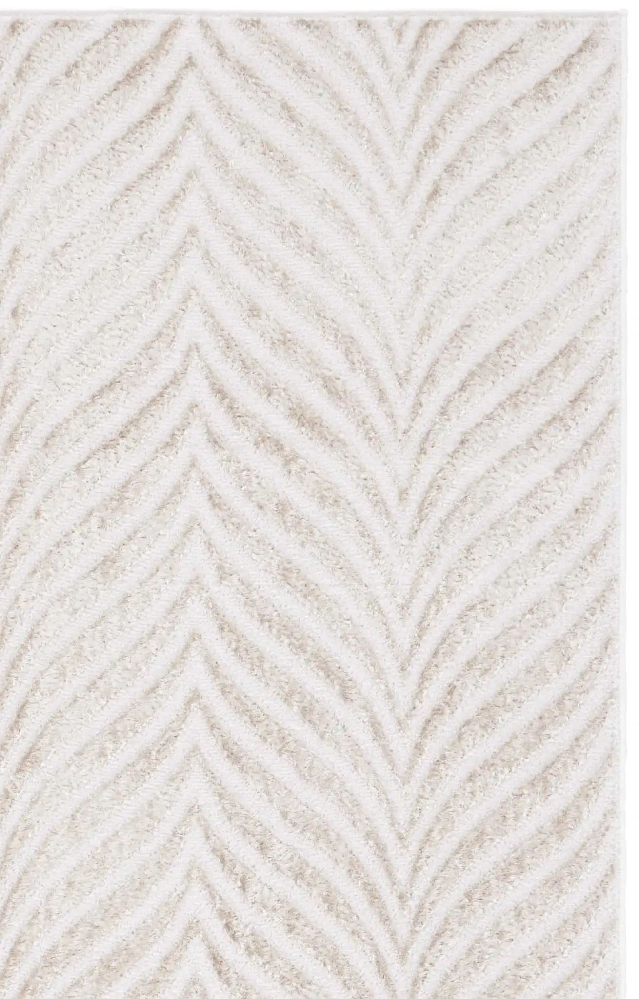 Ivory / Beige