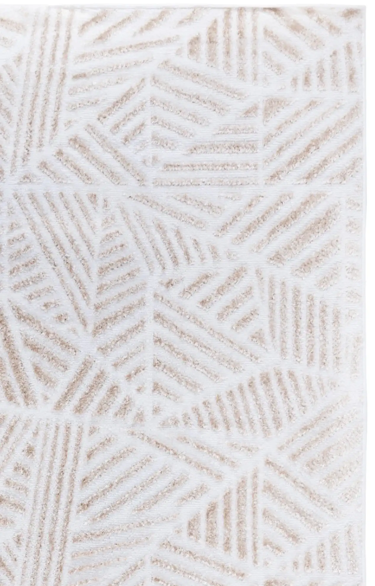 Ivory / Beige