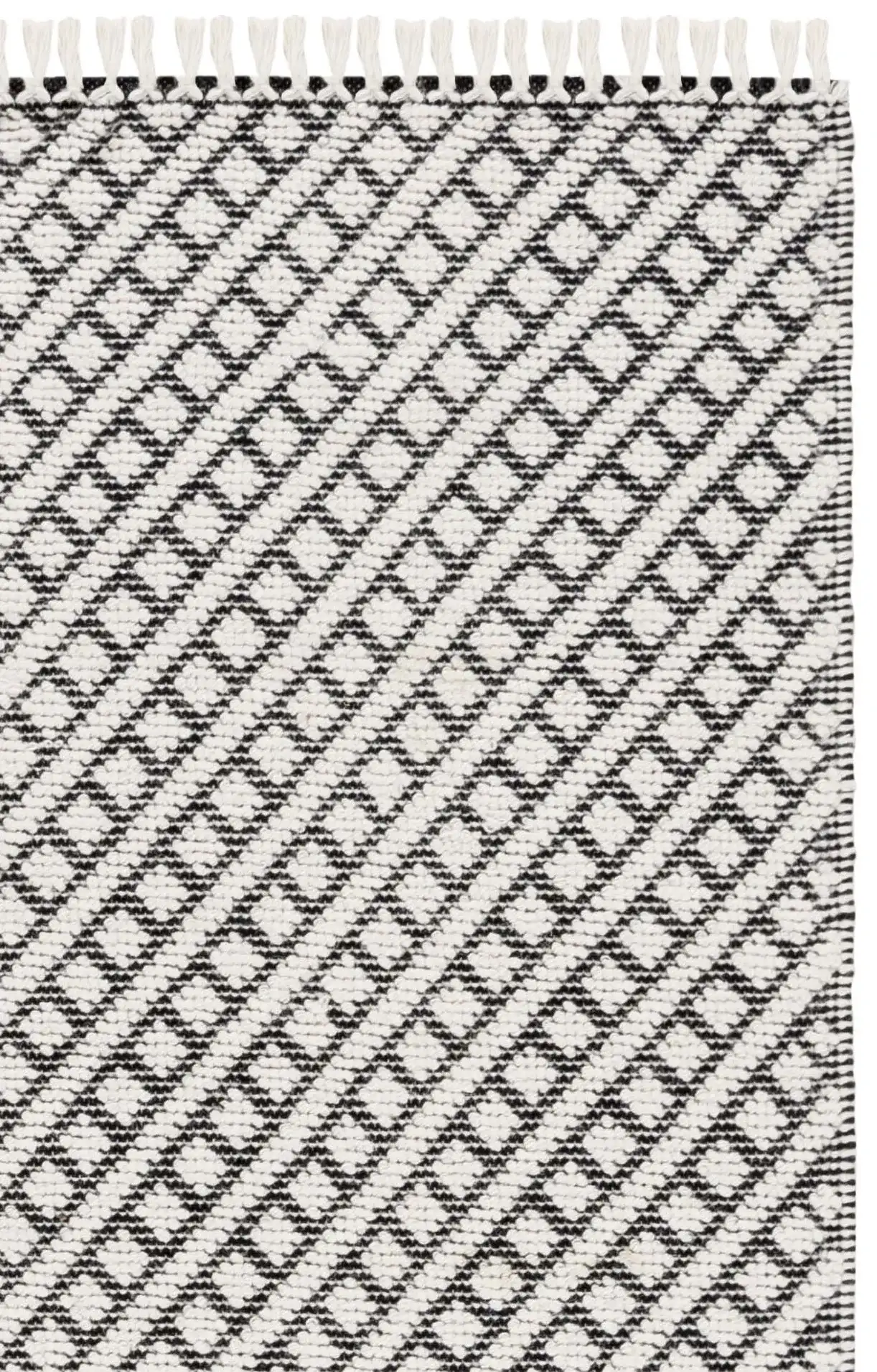 Ivory / Black