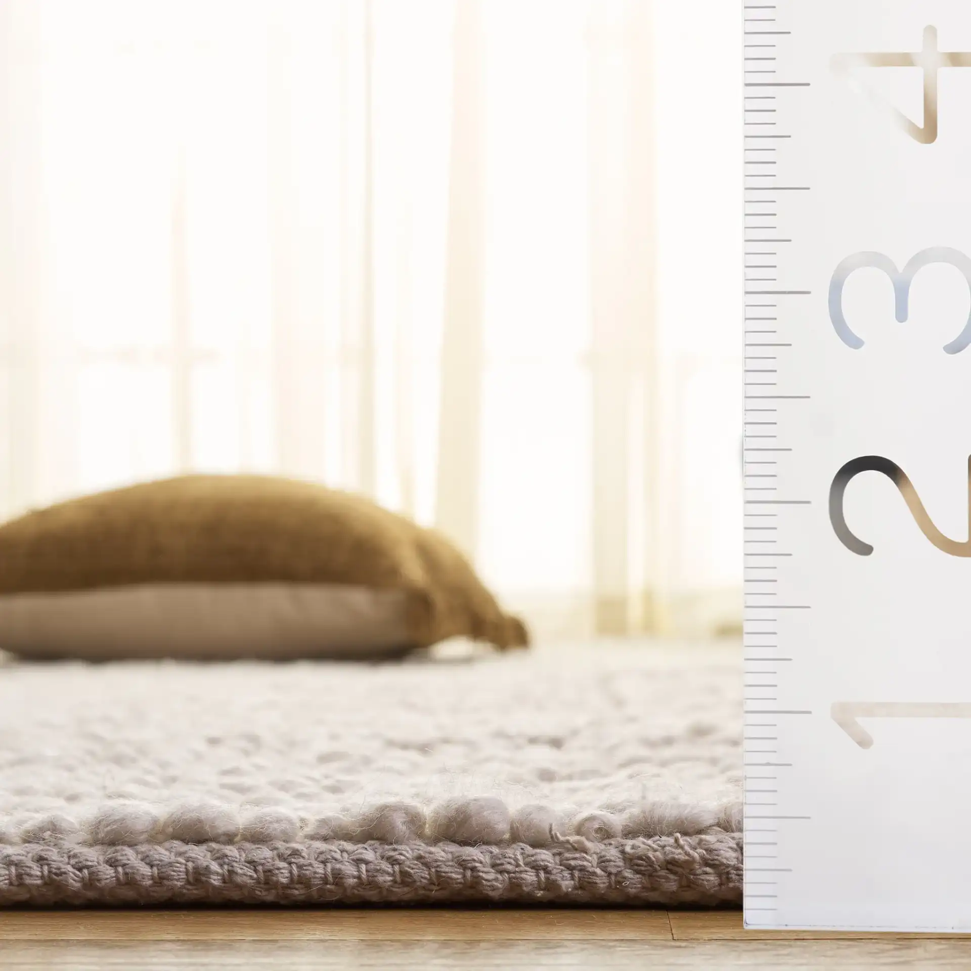 Natura Concentric Border Hand-Woven Rug in Ivory in a styled room