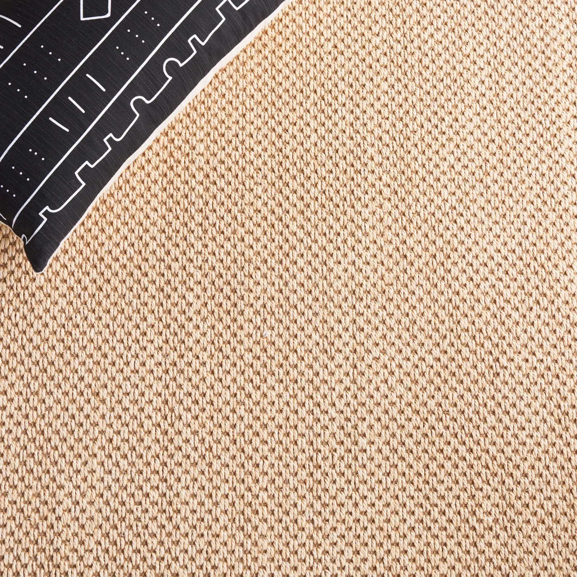 Natural Fiber Trinidad Bordered Sisal Rug in Maize / Brown in a styled room