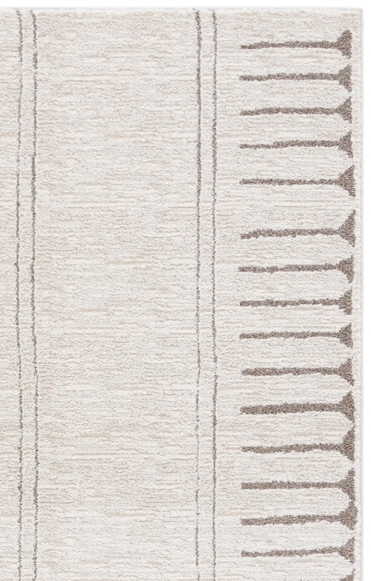 Ivory / Beige