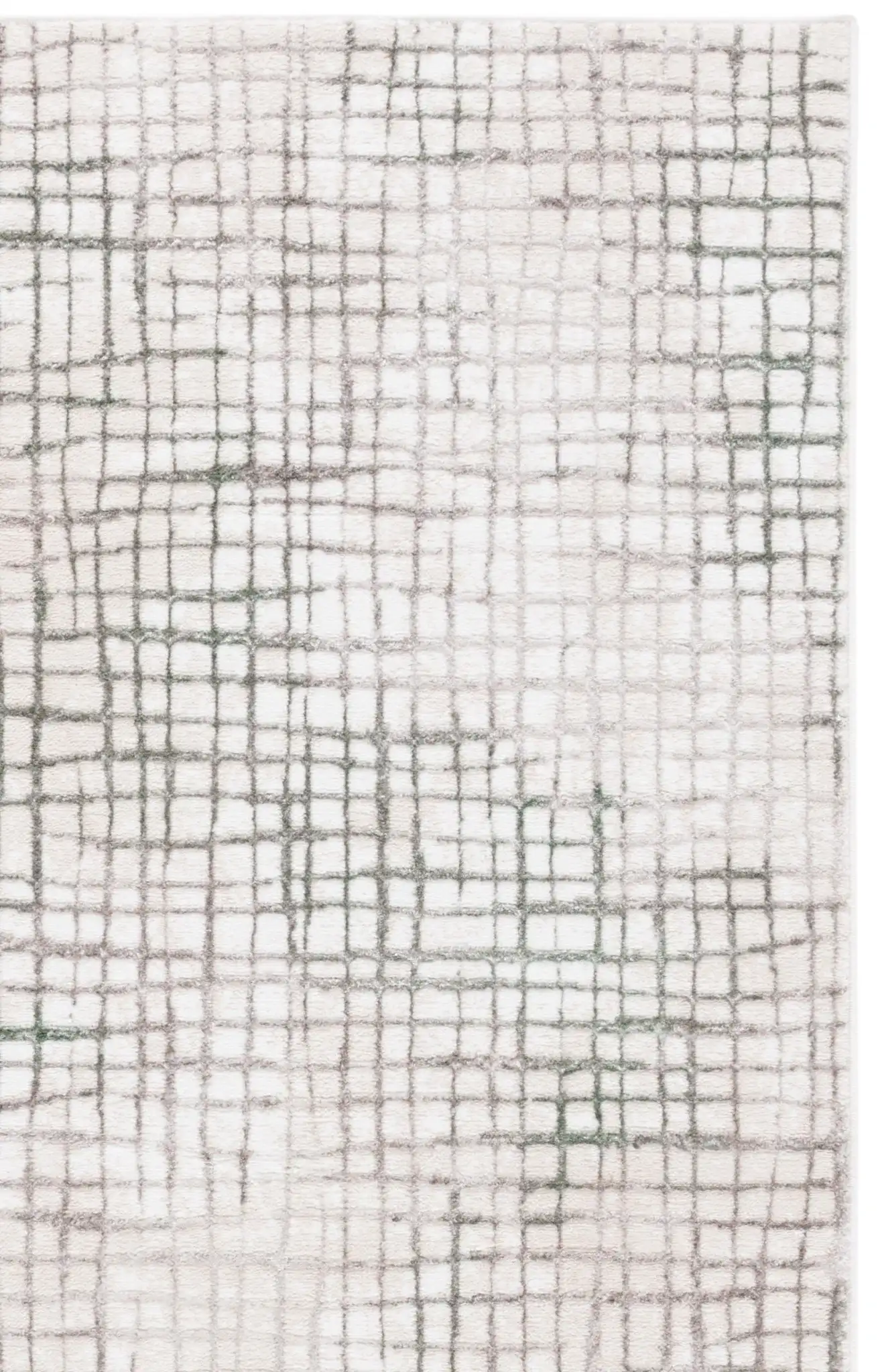 Gray / Green Ivory