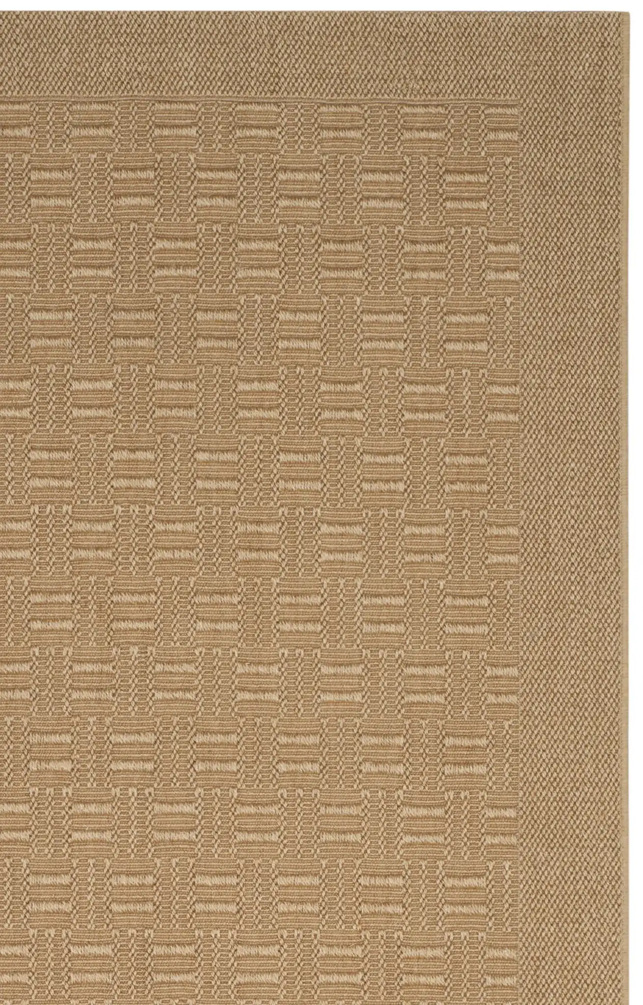 Maize