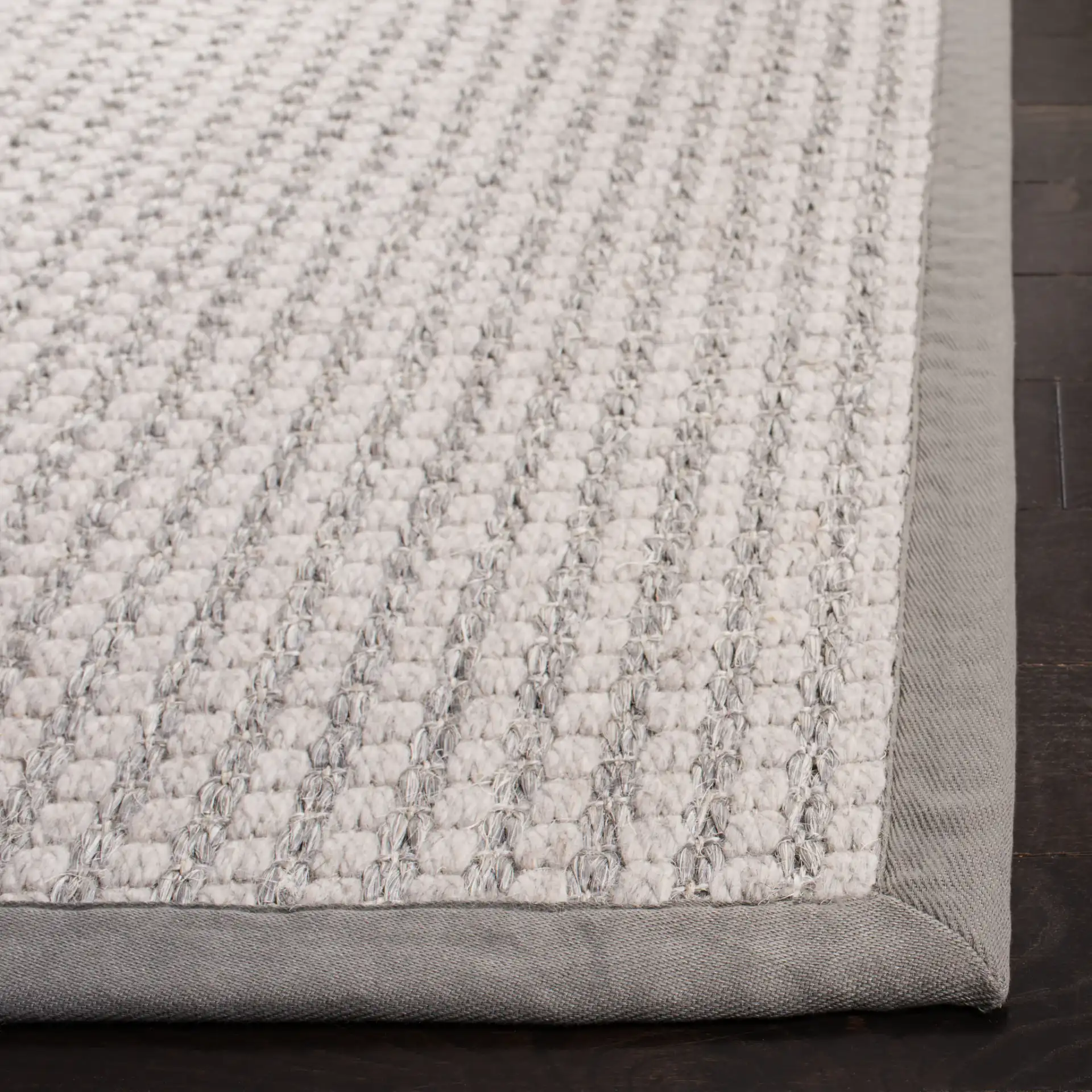 Palm Beach Solid Bordered Rug in Silver / Ivory in a styled room
