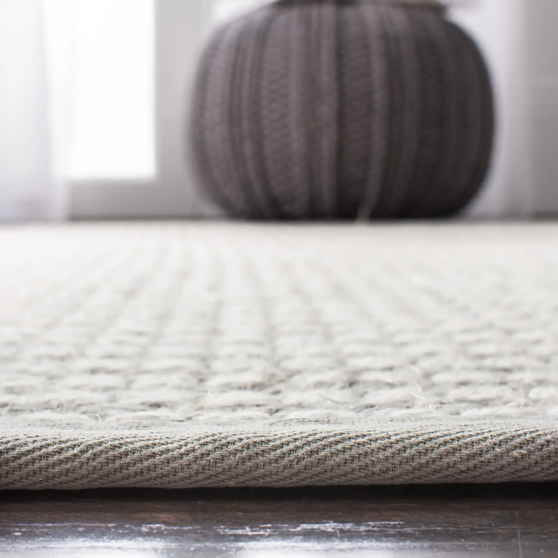 Palm Beach Solid Bordered Rug in Silver / Ivory in a styled room