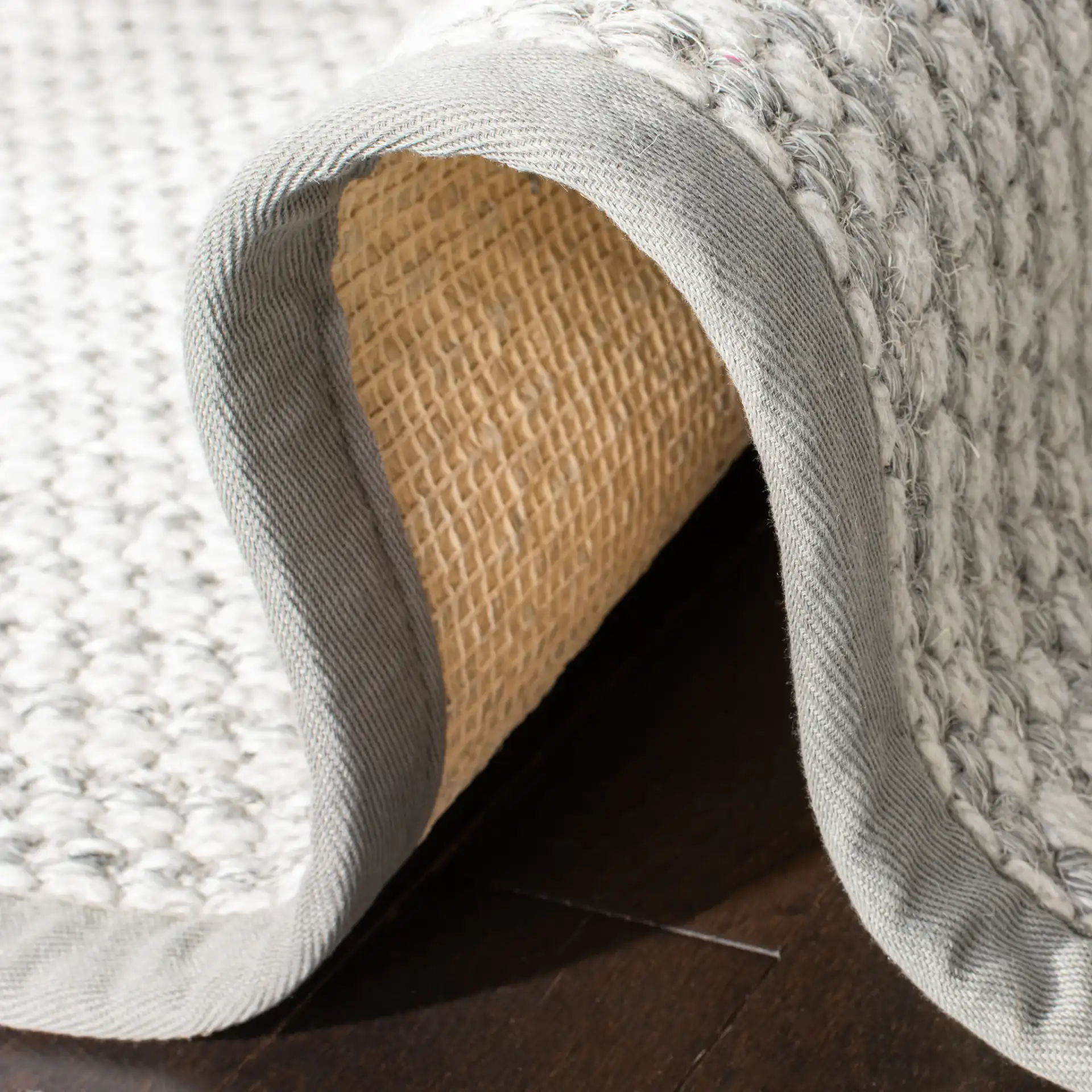 Palm Beach Solid Bordered Rug in Silver / Ivory in a styled room