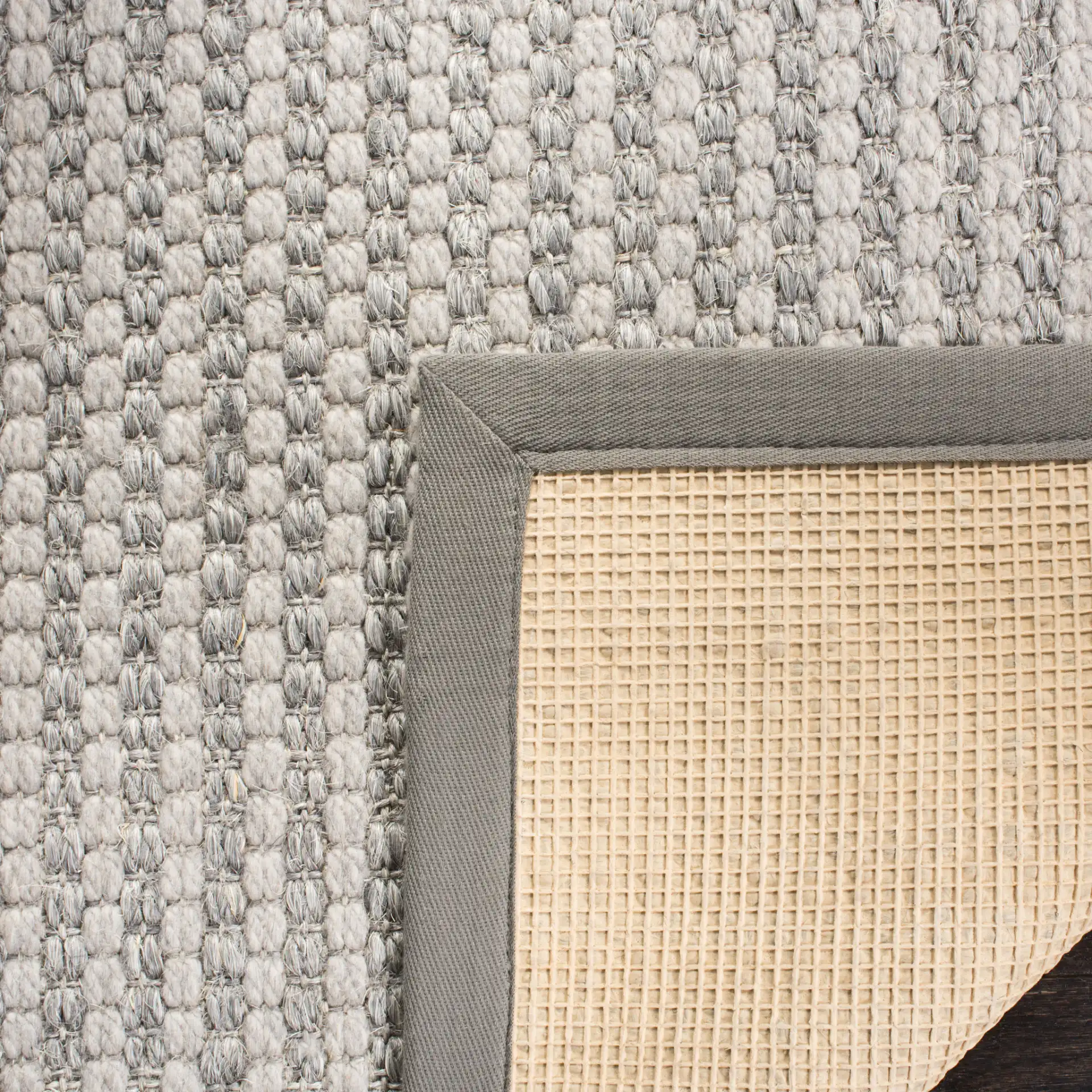 Palm Beach Solid Bordered Rug in Silver / Ivory in a styled room