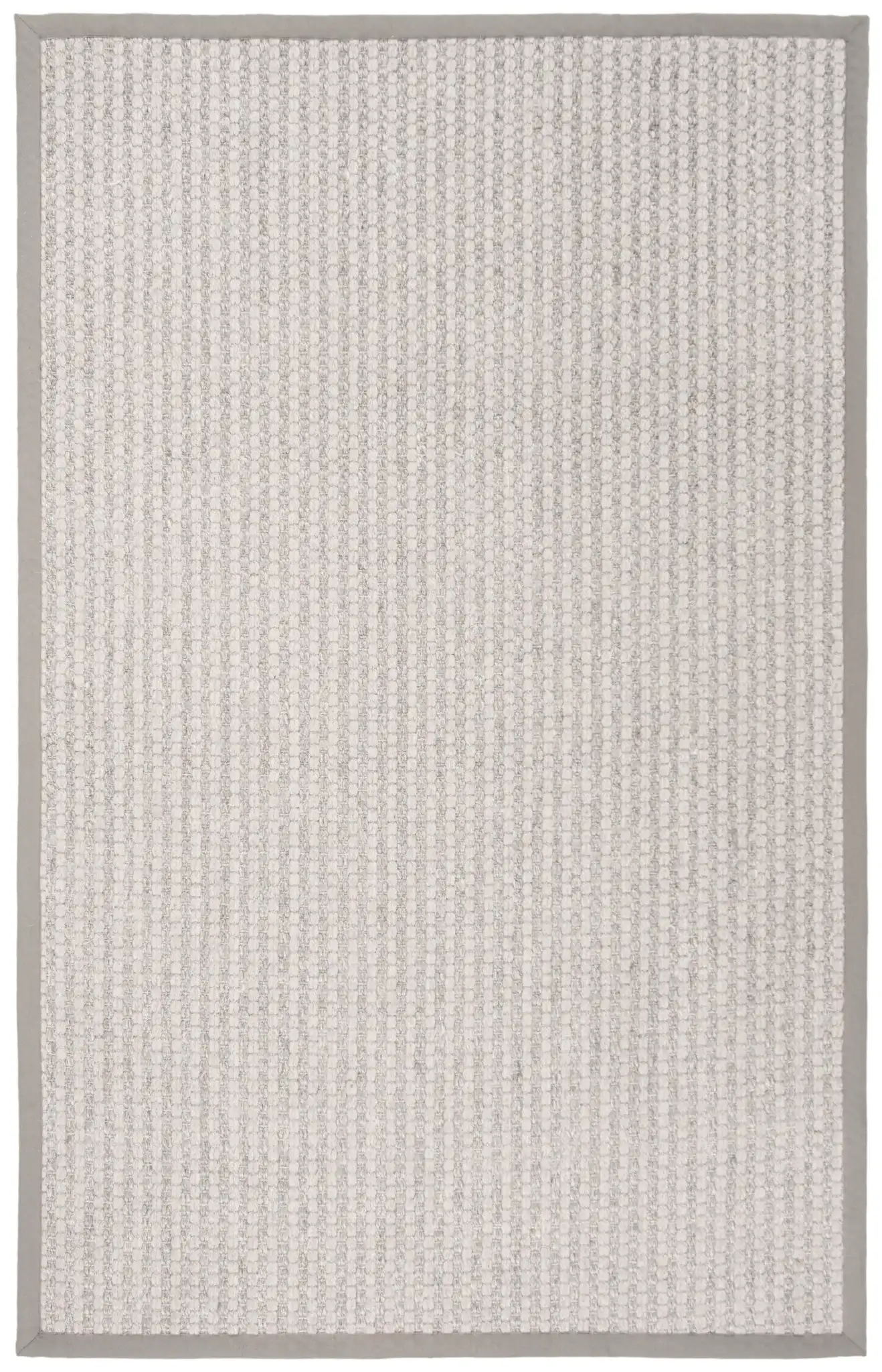 Palm Beach Solid Bordered Rug in Silver / Ivory