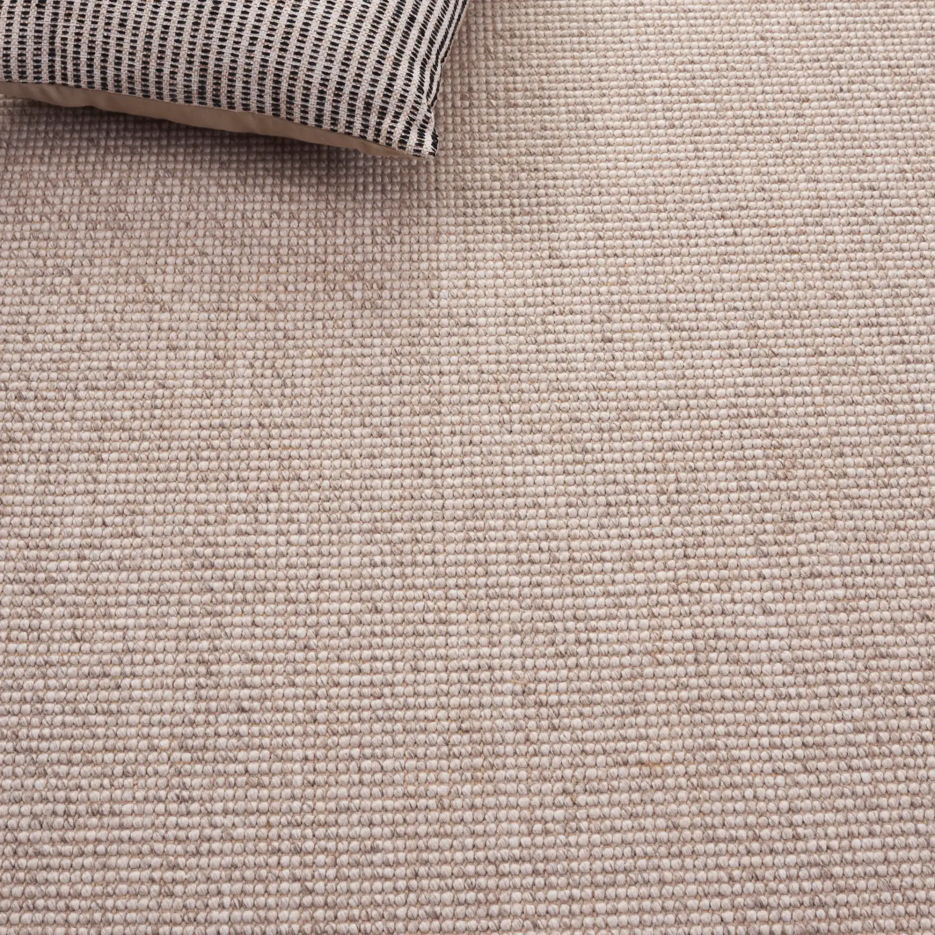 Seaside Bordered Wool Rug in Gray / Ivory in a styled room