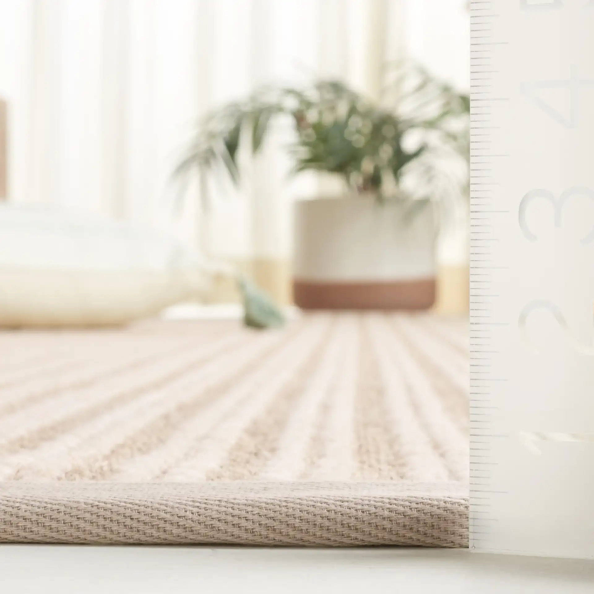 Palm Beach Ribbed Bordered Rug in Ivory in a styled room