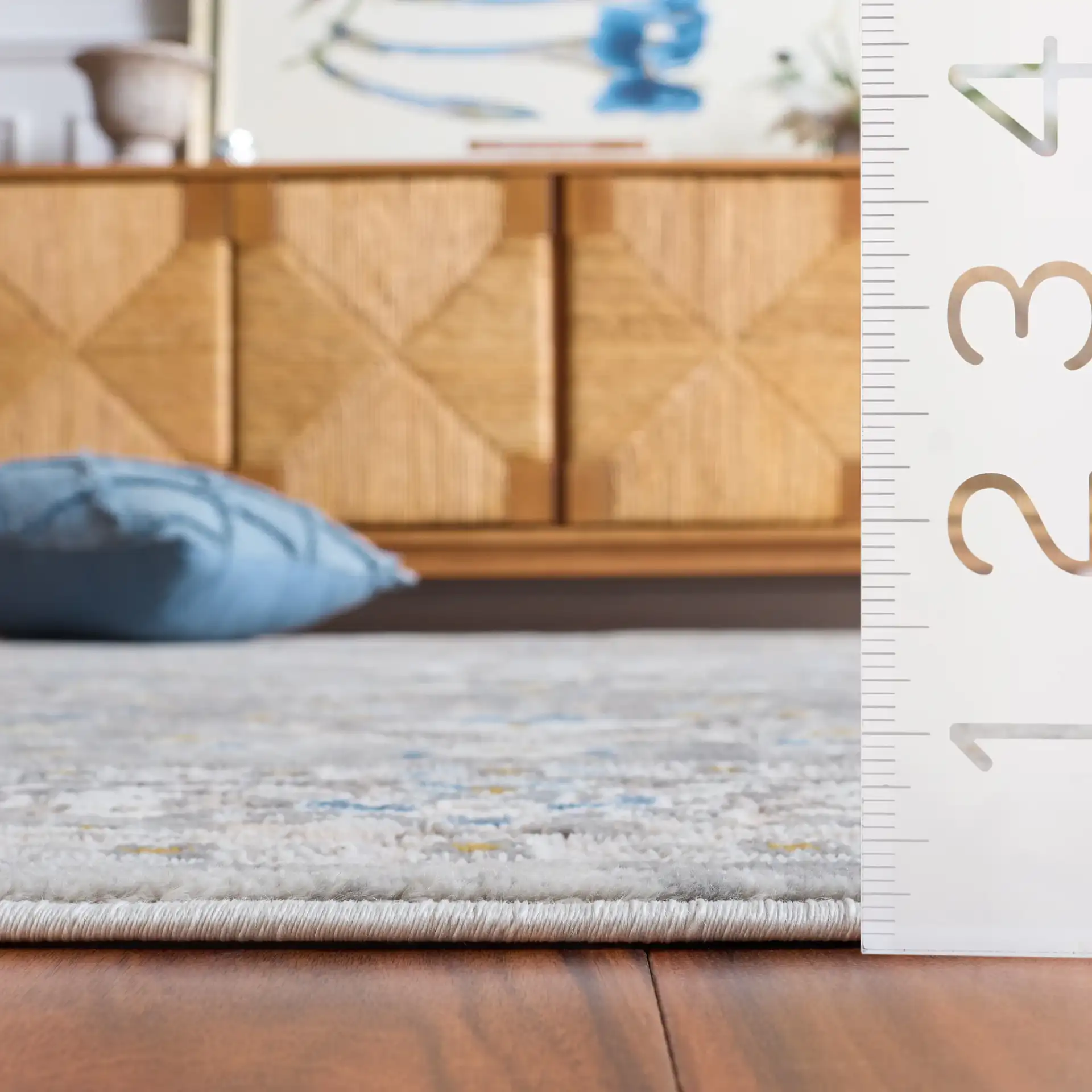 Palma Medallion Bordered Rug in Gray in a styled room
