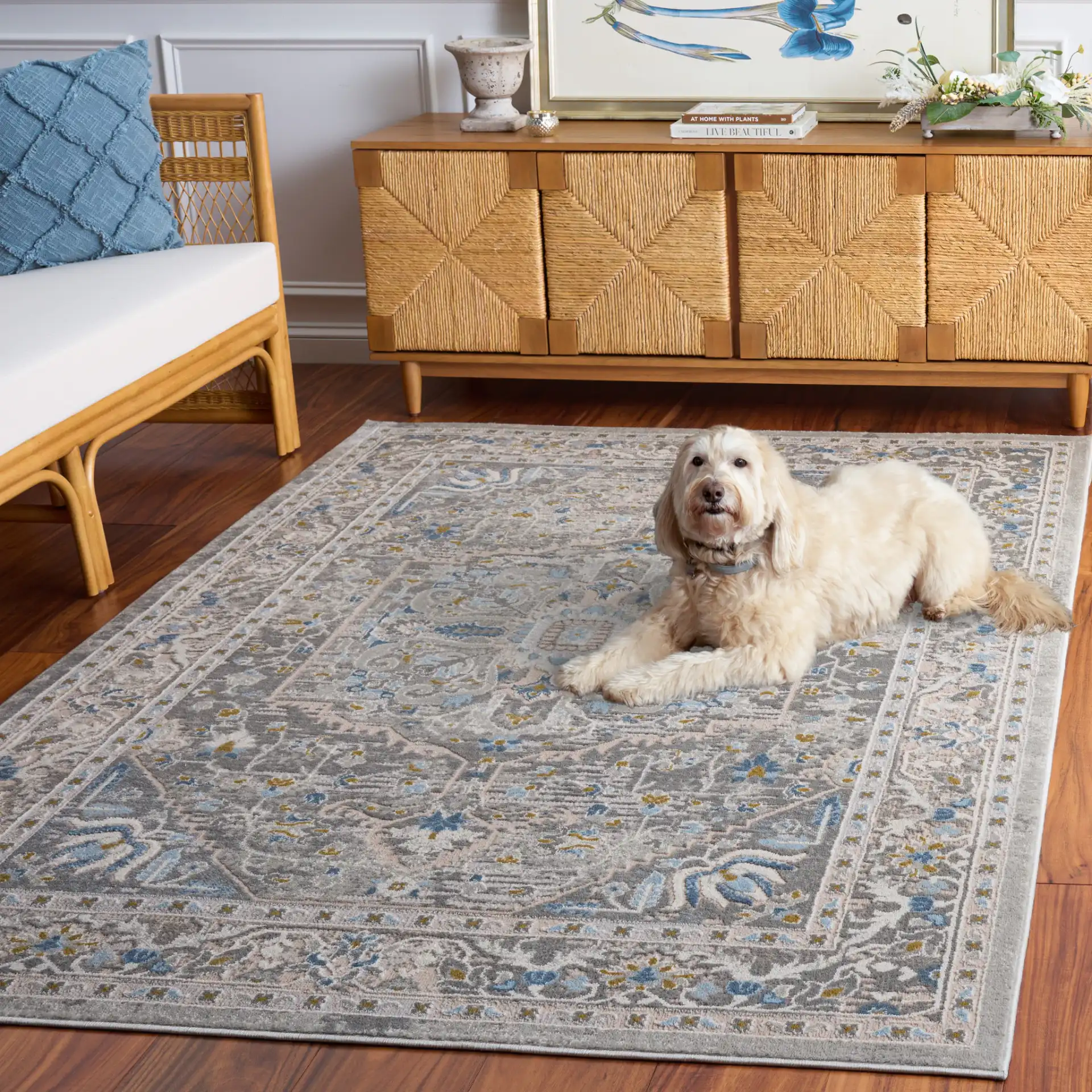 Palma Medallion Bordered Rug in Gray in a styled room