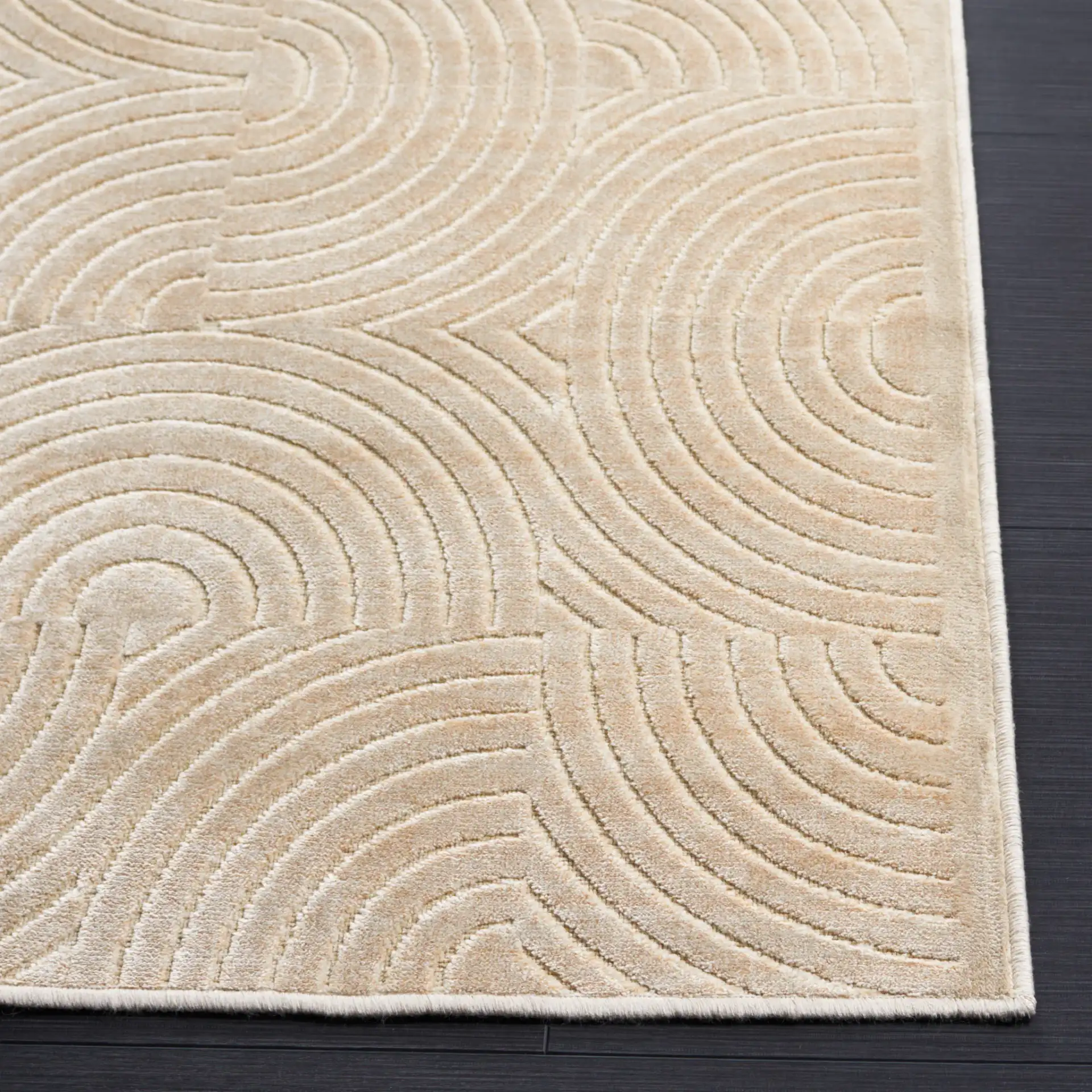 Paradise Concentric Arc Rug in Stone in a styled room
