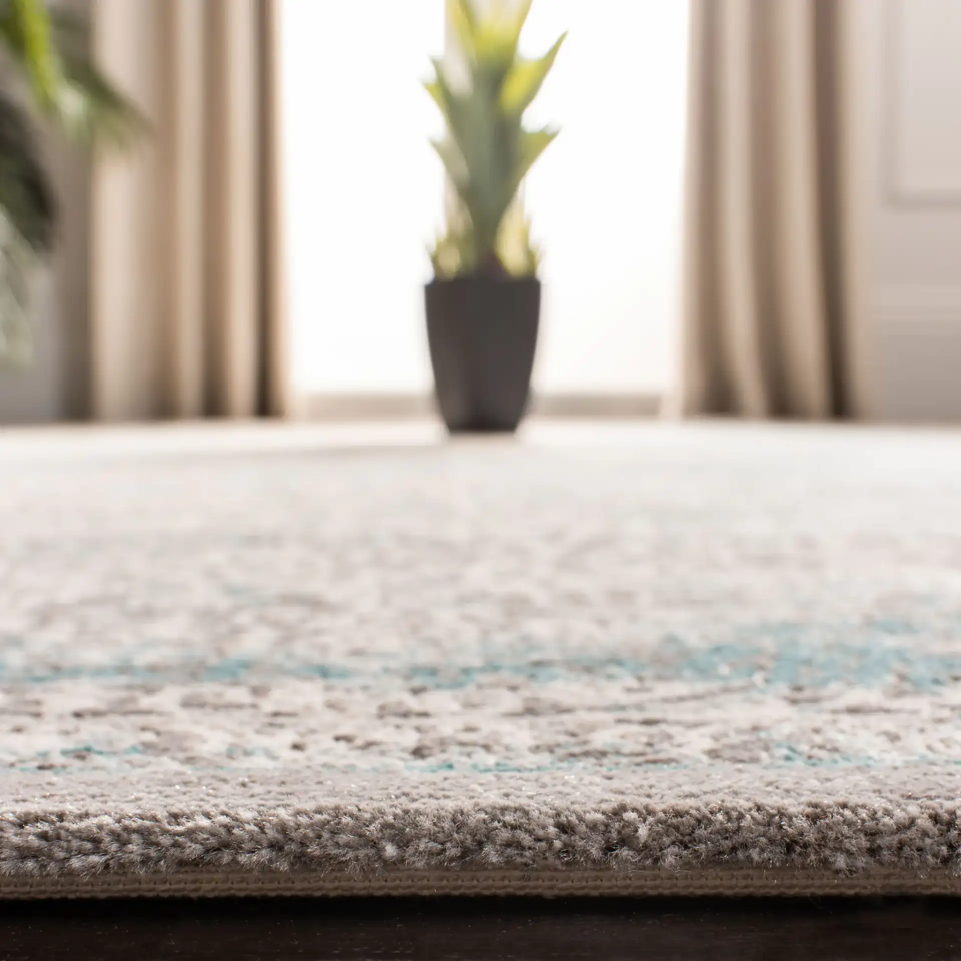 Passion Distressed Floral Bordered Rug in Turquoise / Ivory in a styled room