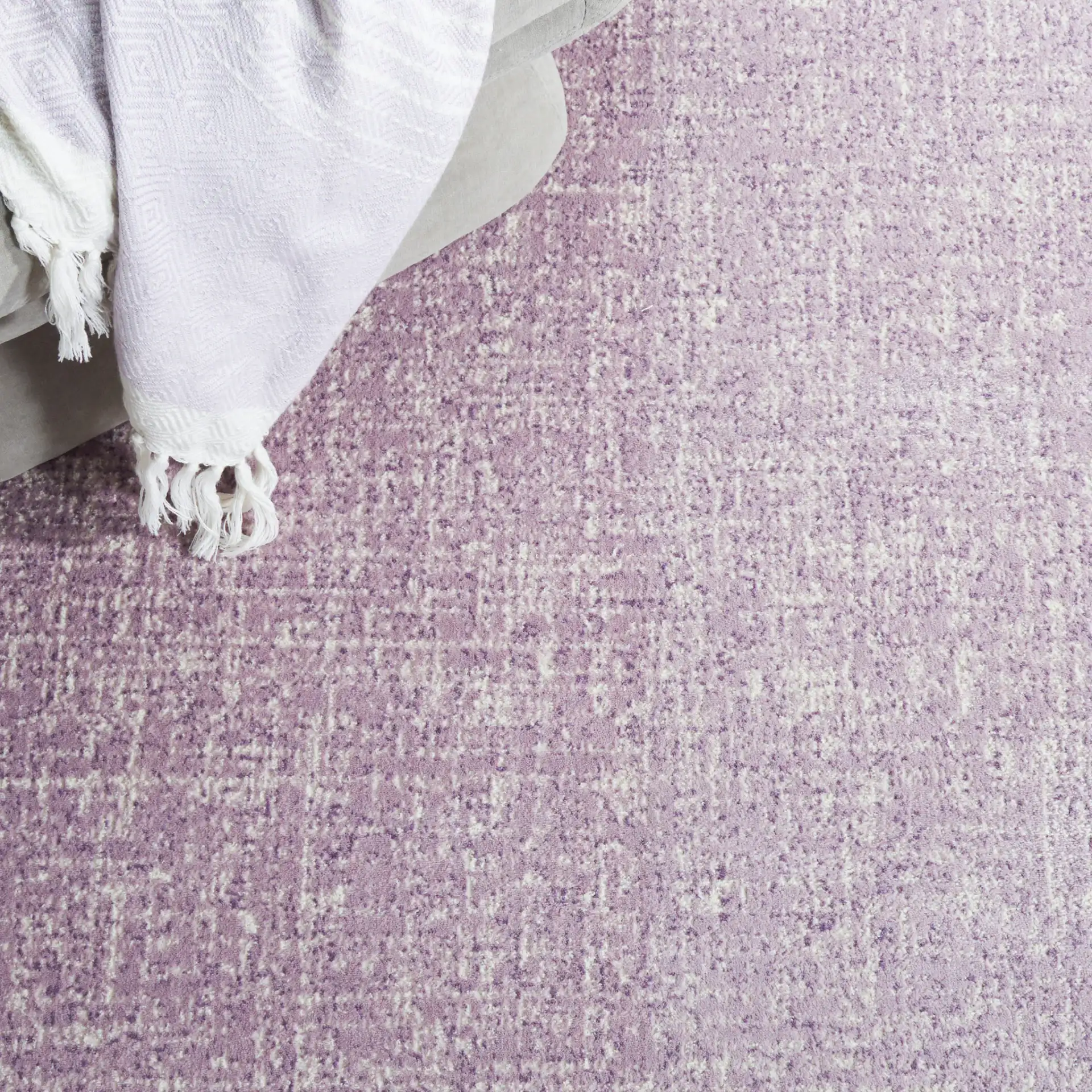 Passion Glam Leopard Border Rug in Purple / Beige in a styled room