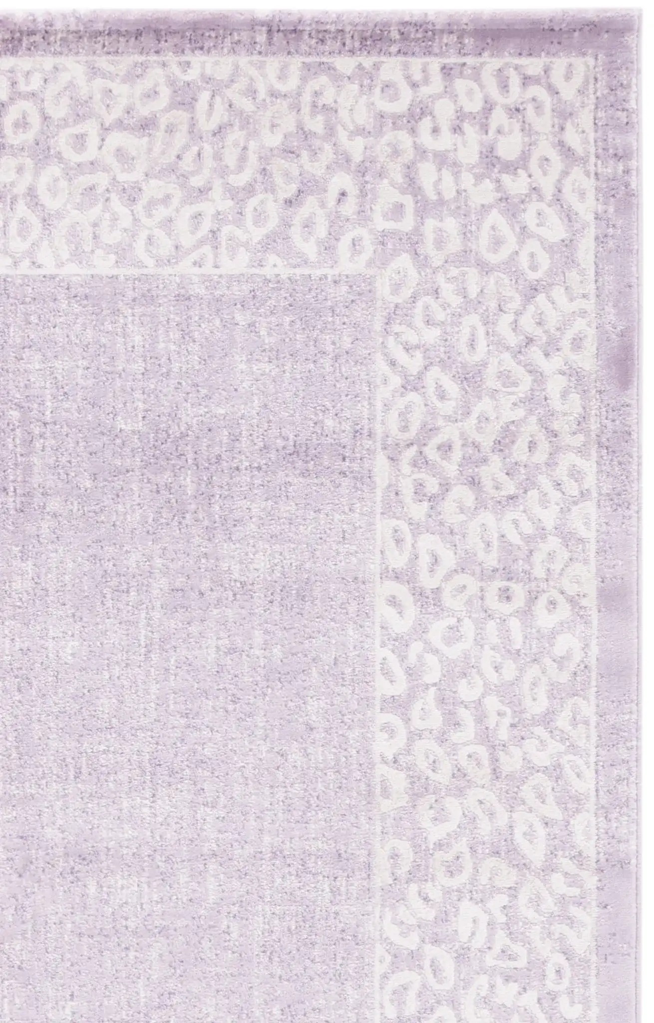 Purple / Beige