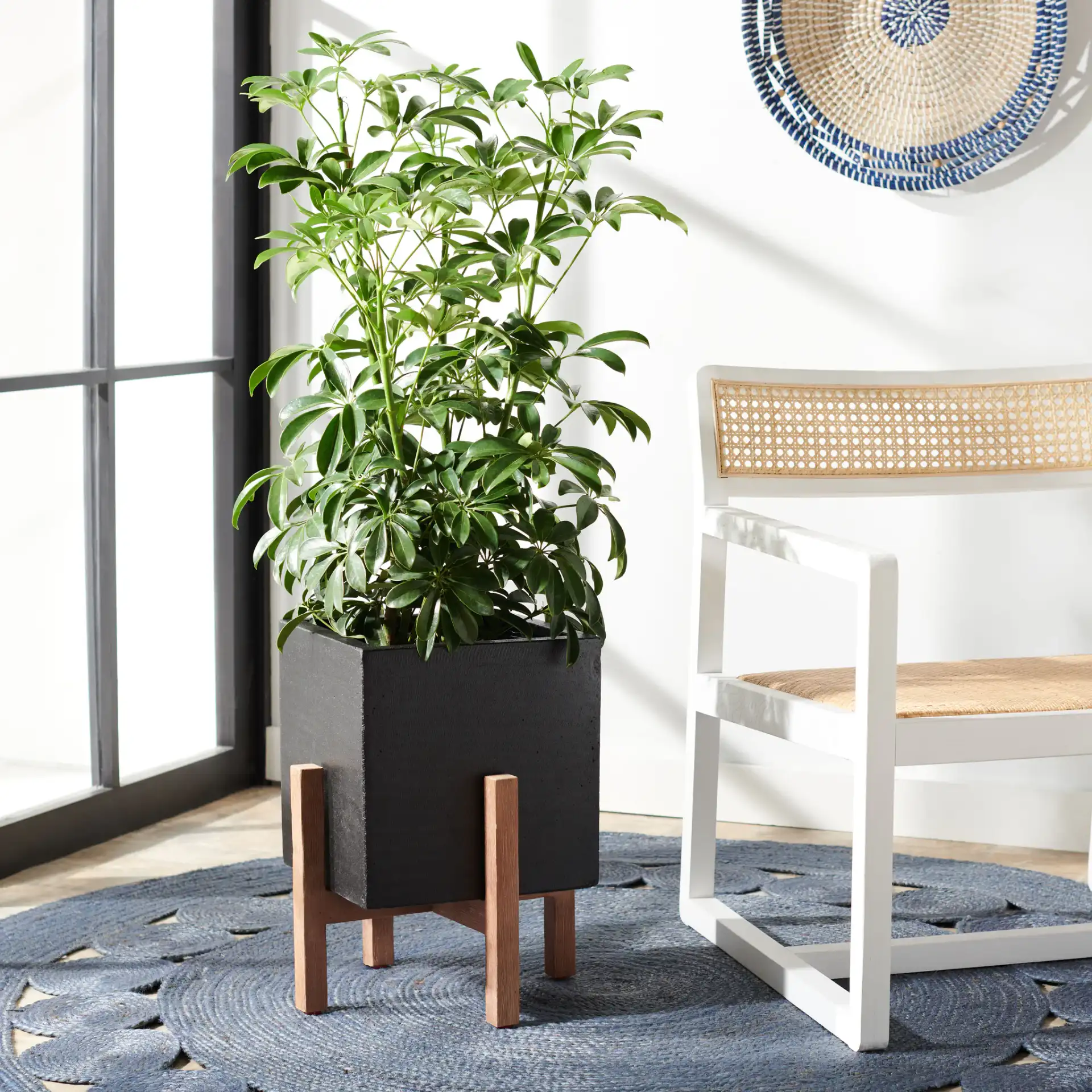 Borsla Planter in Black in a styled room