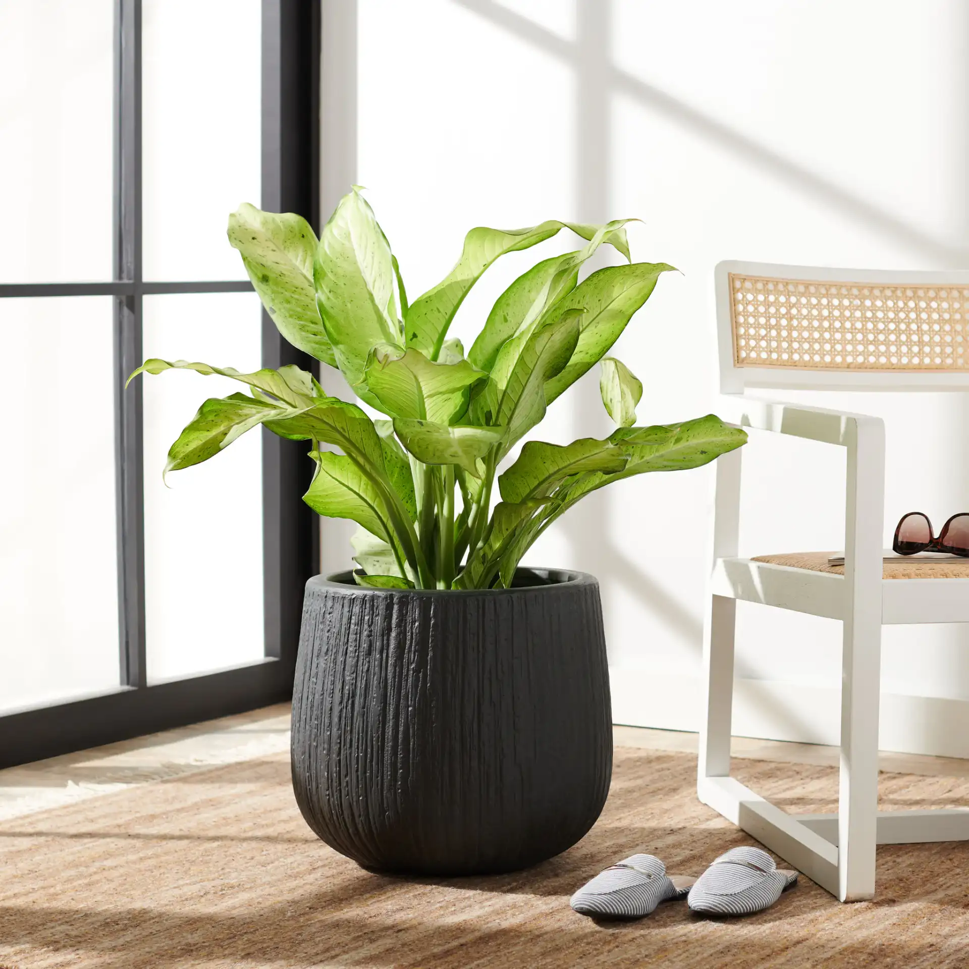 Francia Planter in Black in a styled room