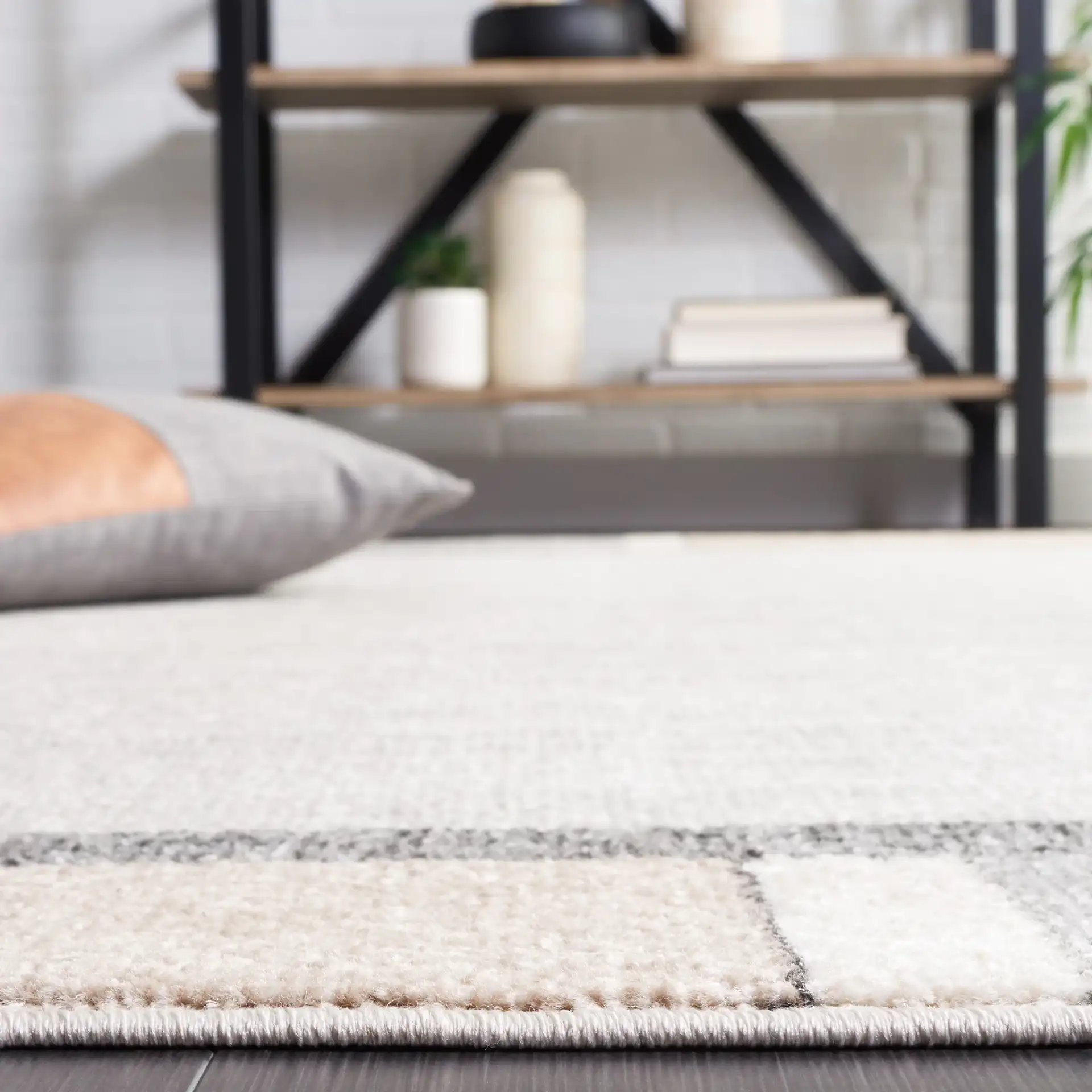 Phoenix Block Border Rug in Light Gray / Beige Charcoal in a styled room