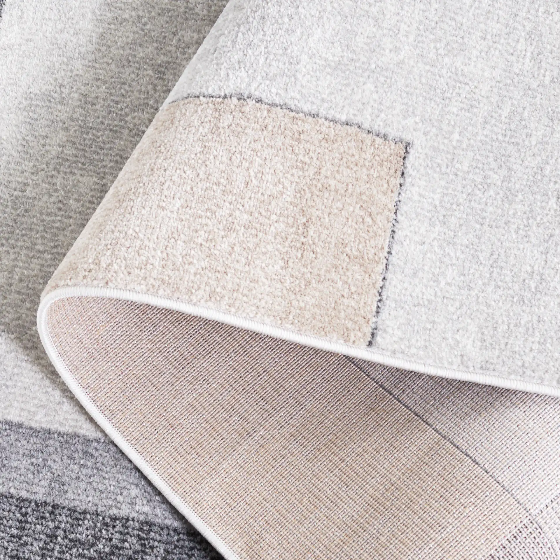 Phoenix Block Border Rug in Light Gray / Beige Charcoal in a styled room