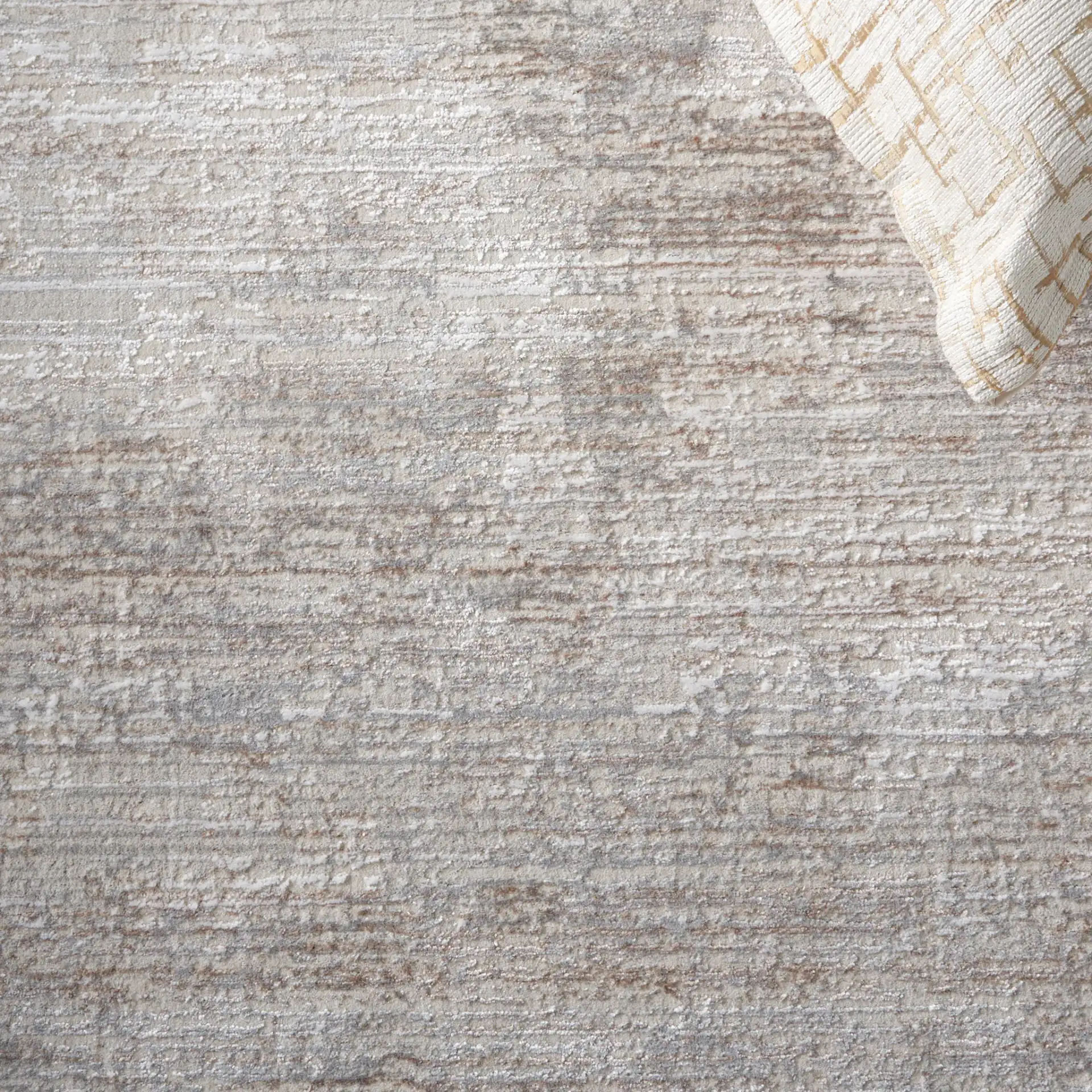 Platinum Distressed Border Rug in Gray / Beige in a styled room