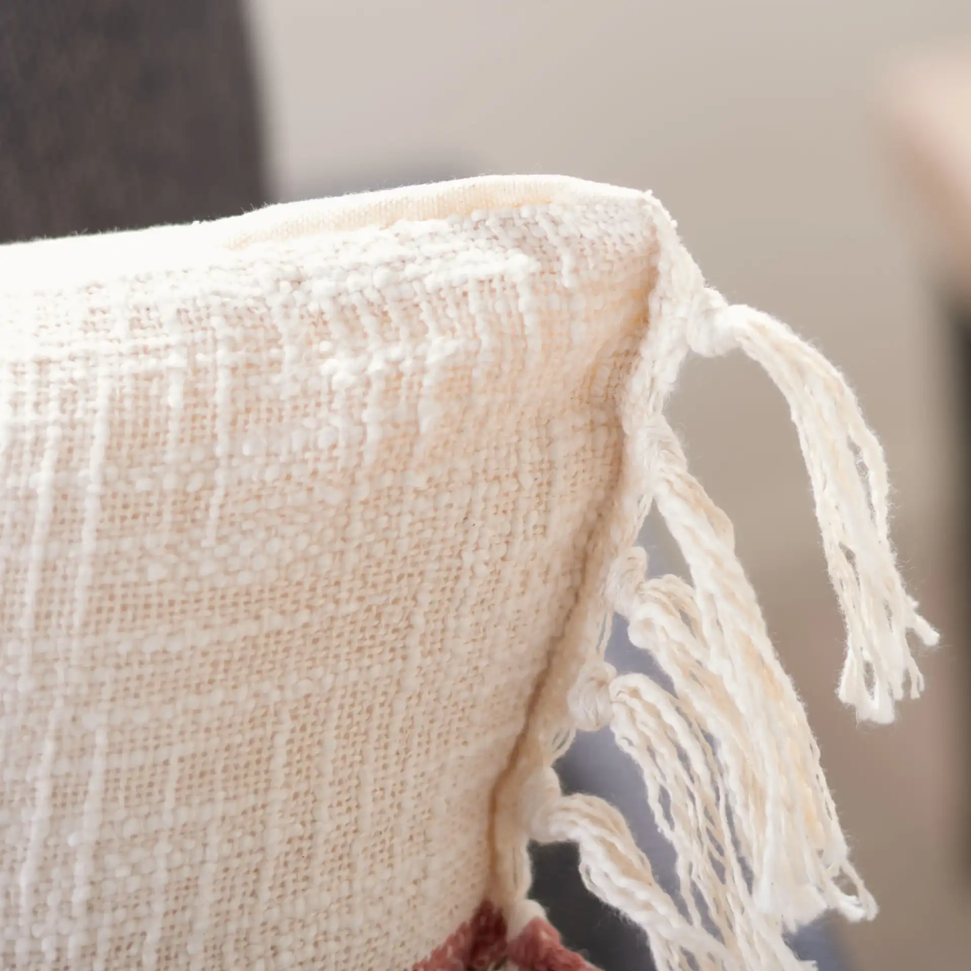 Lencia Pillow in Beige / Gray in a styled room