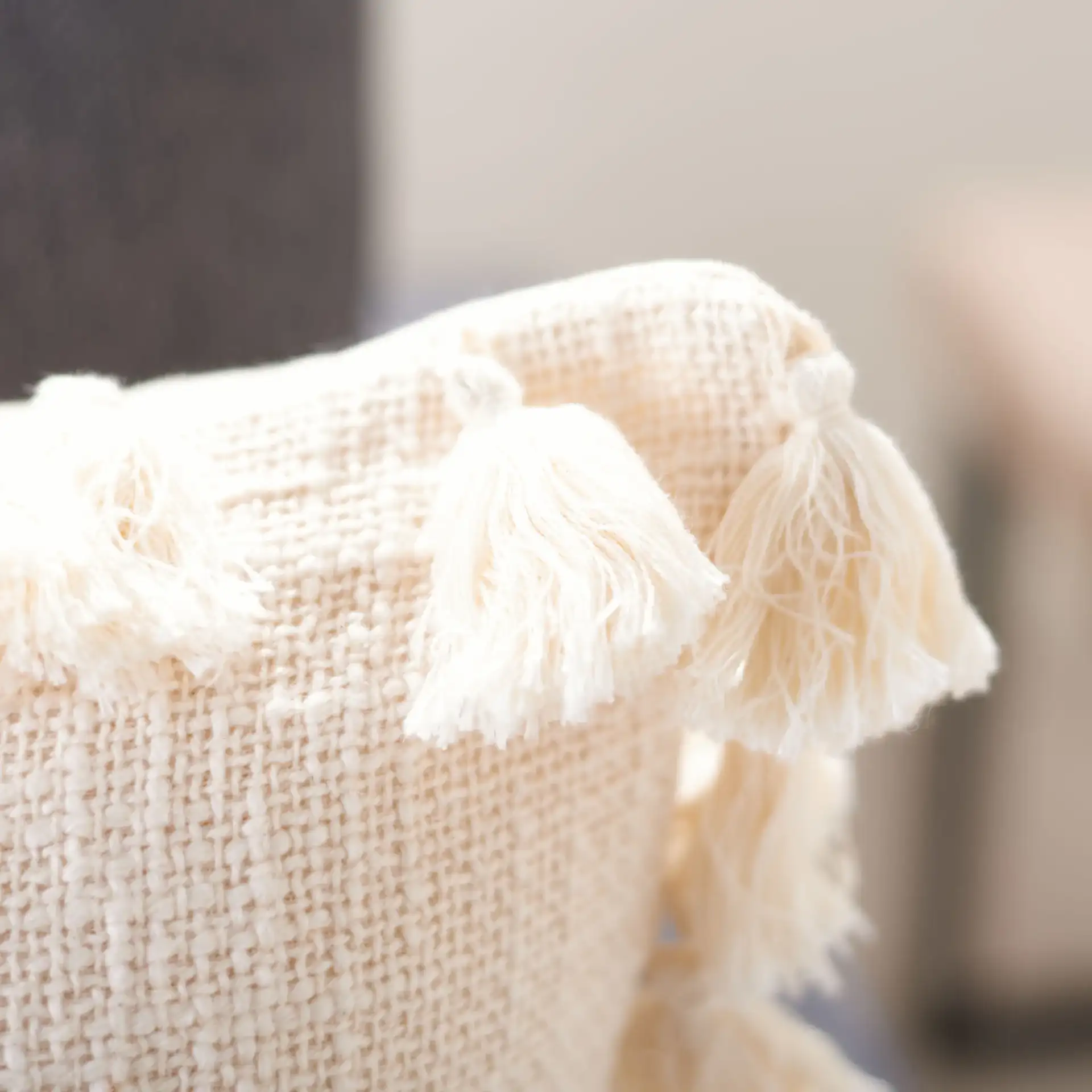 Skyla Pillow in Beige in a styled room